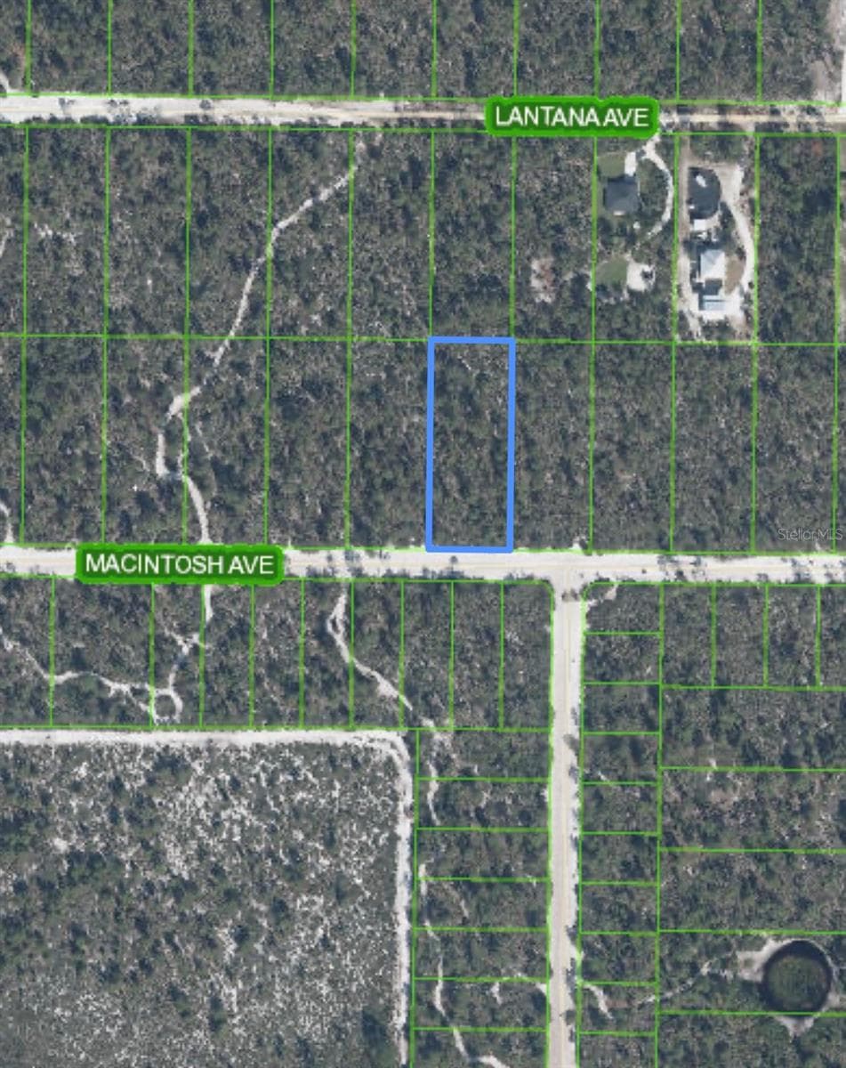 Land at 2132 MACINTOSH AVE, SEBRING, photo 3 of 8