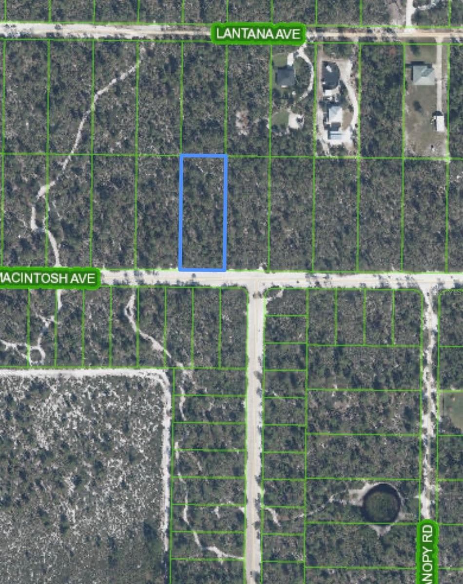 Land at 2132 MACINTOSH AVE, SEBRING, photo 4 of 8