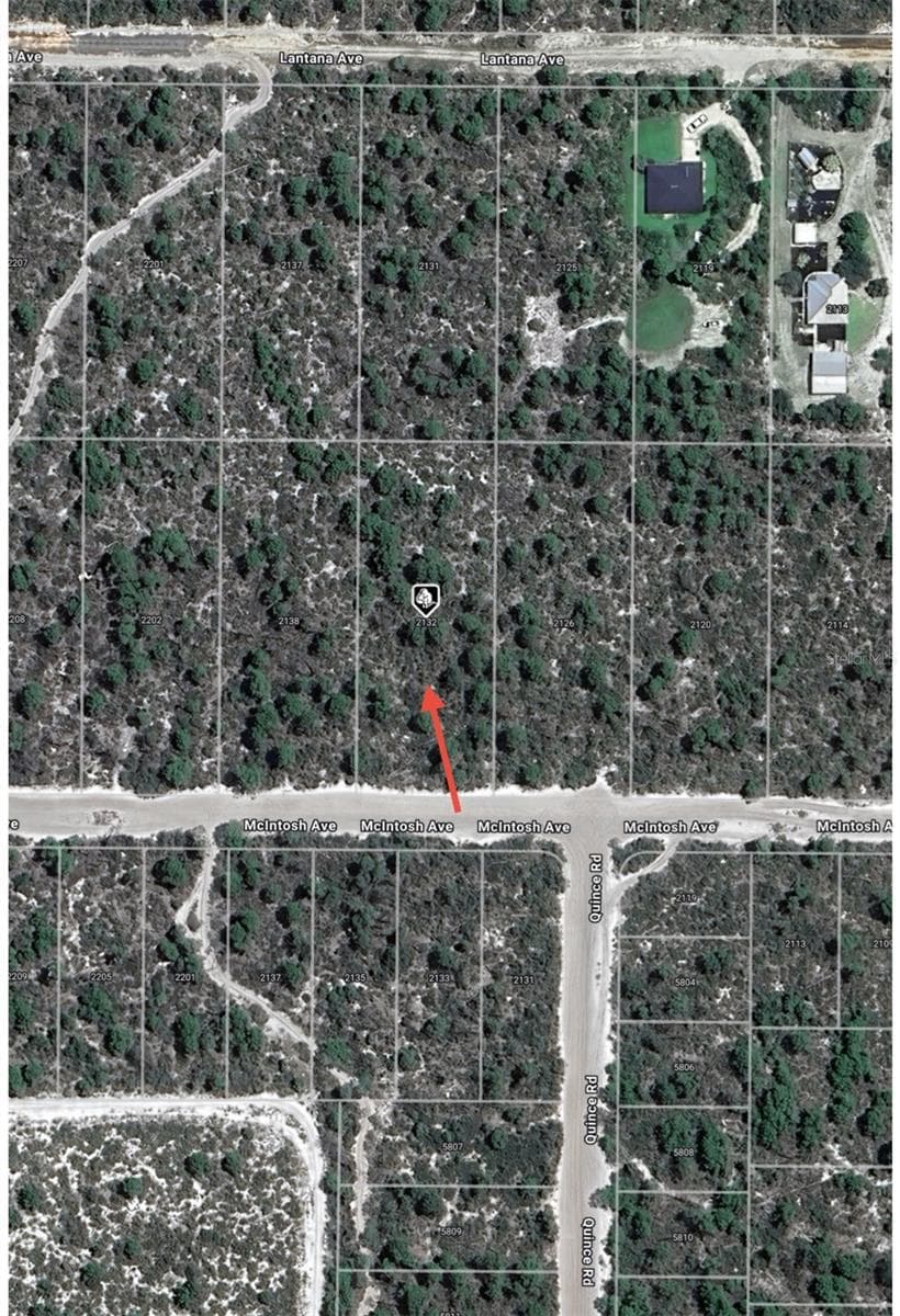Land at 2132 MACINTOSH AVE, SEBRING, photo 7 of 8