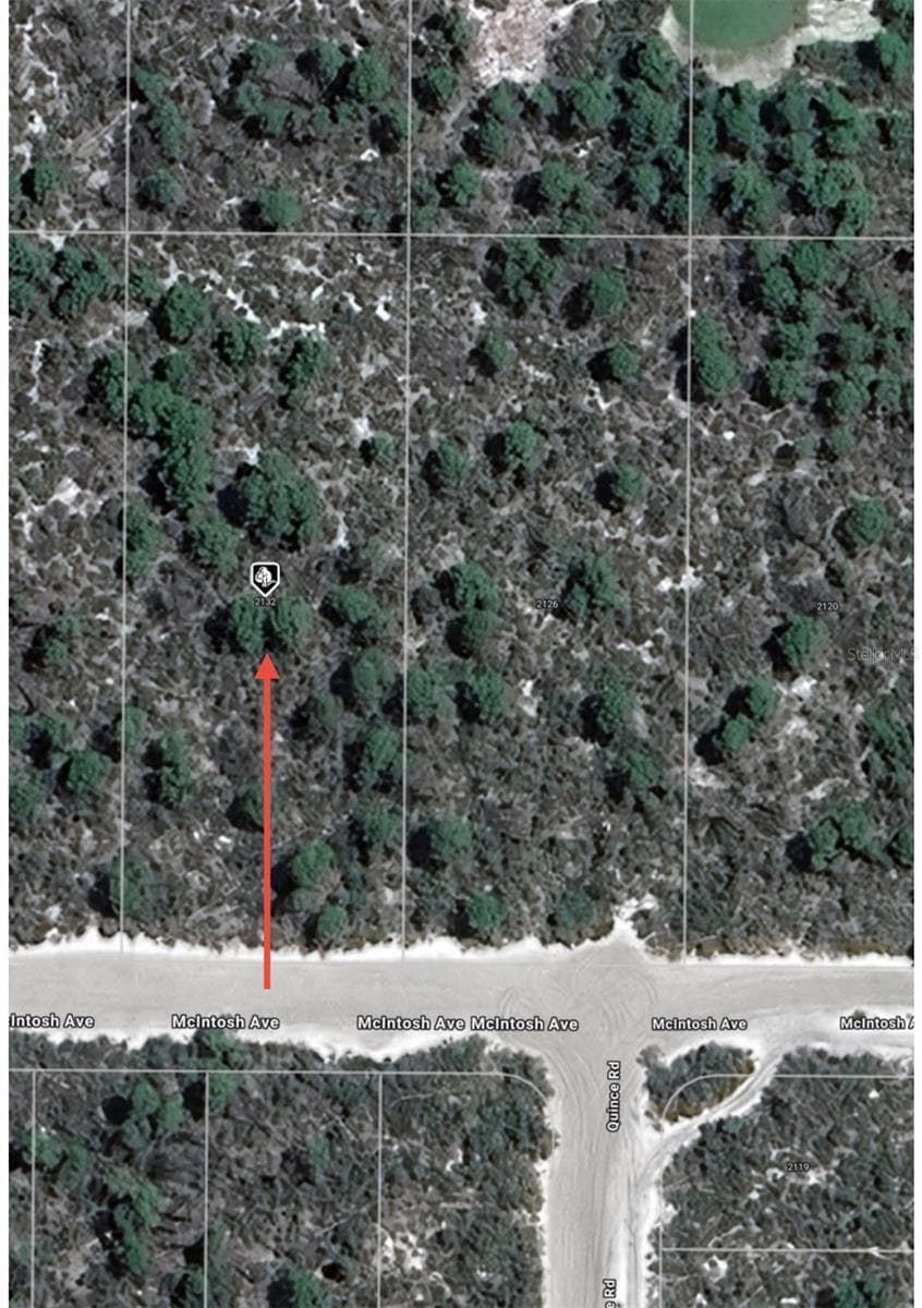 Land at 2132 MACINTOSH AVE, SEBRING, photo 8 of 8