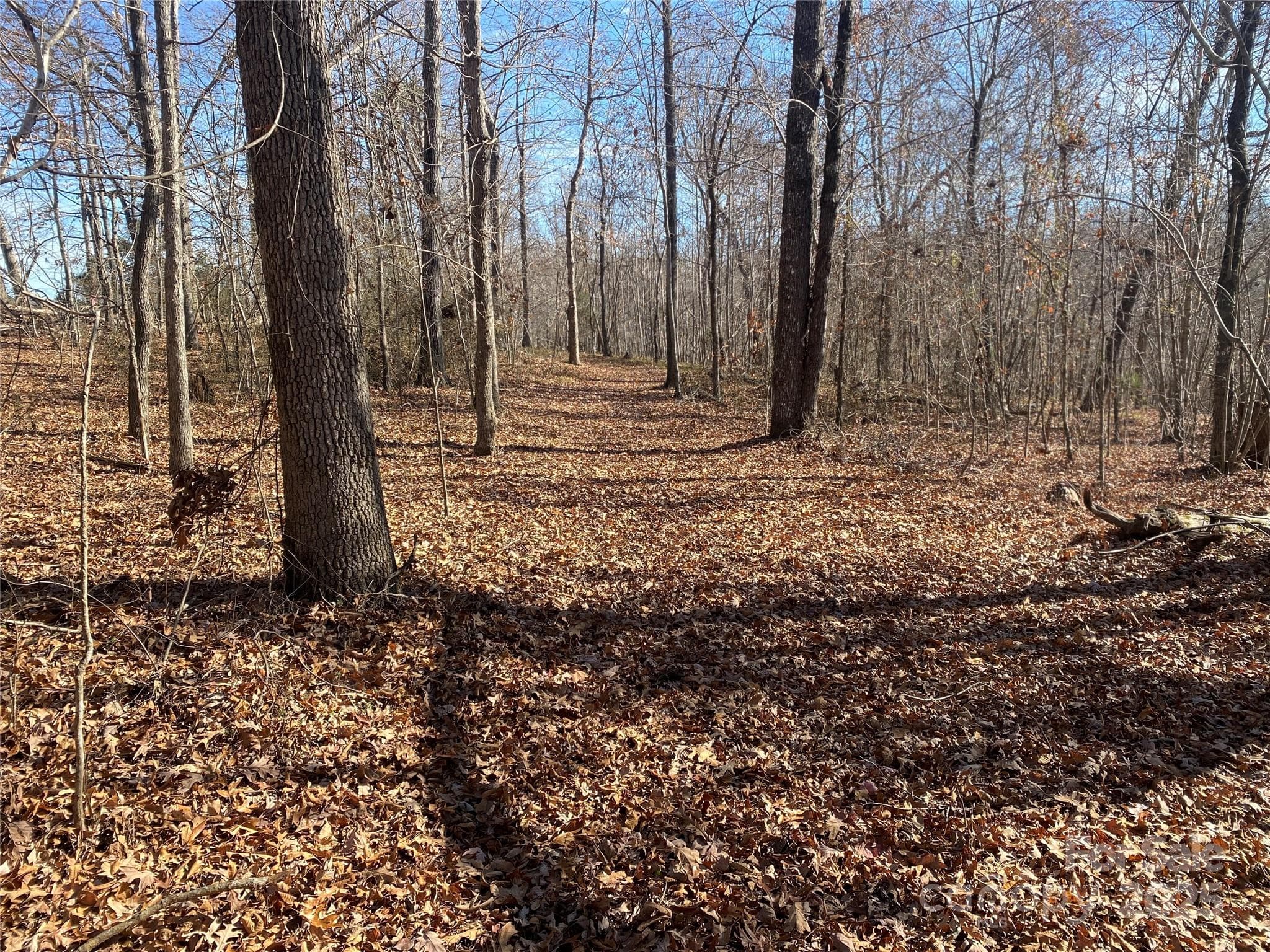 00 Kiser Road
