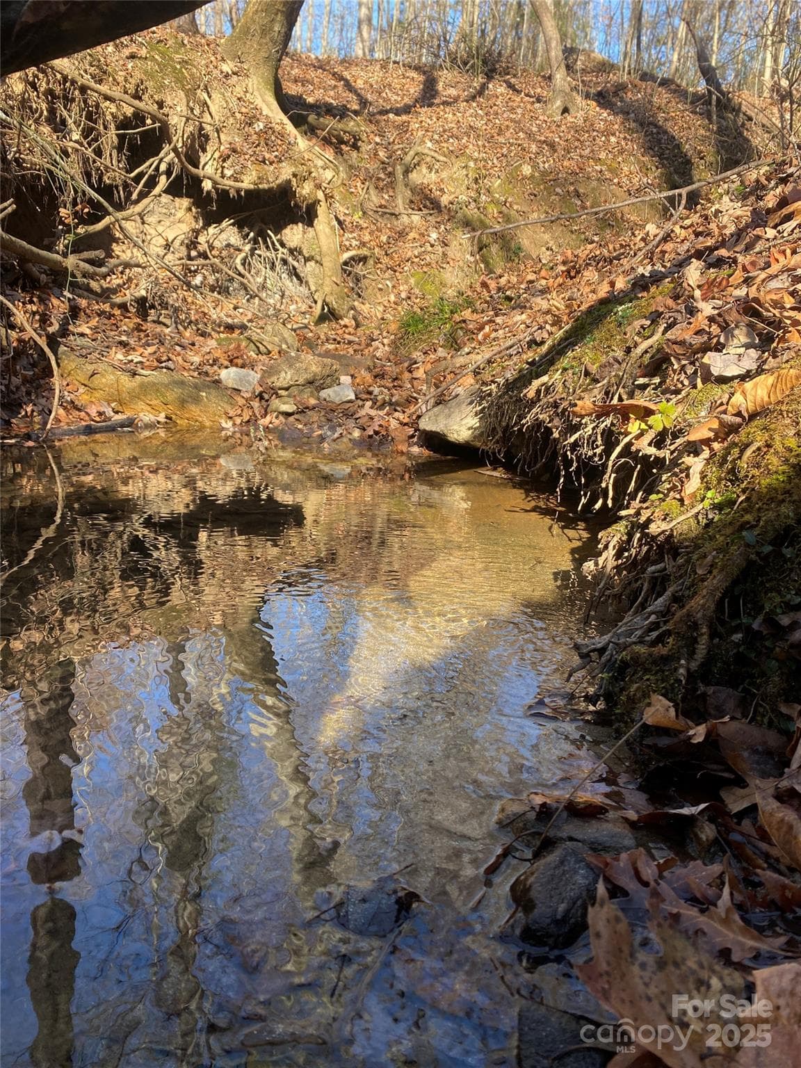 Lot at 00 Kiser Road, Bostic, photo 3 of 15