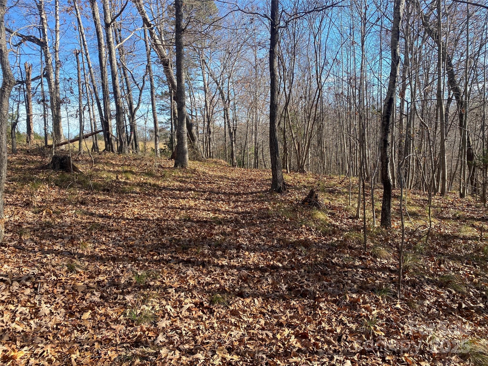 Lot at 00 Kiser Road, Bostic, photo 4 of 15