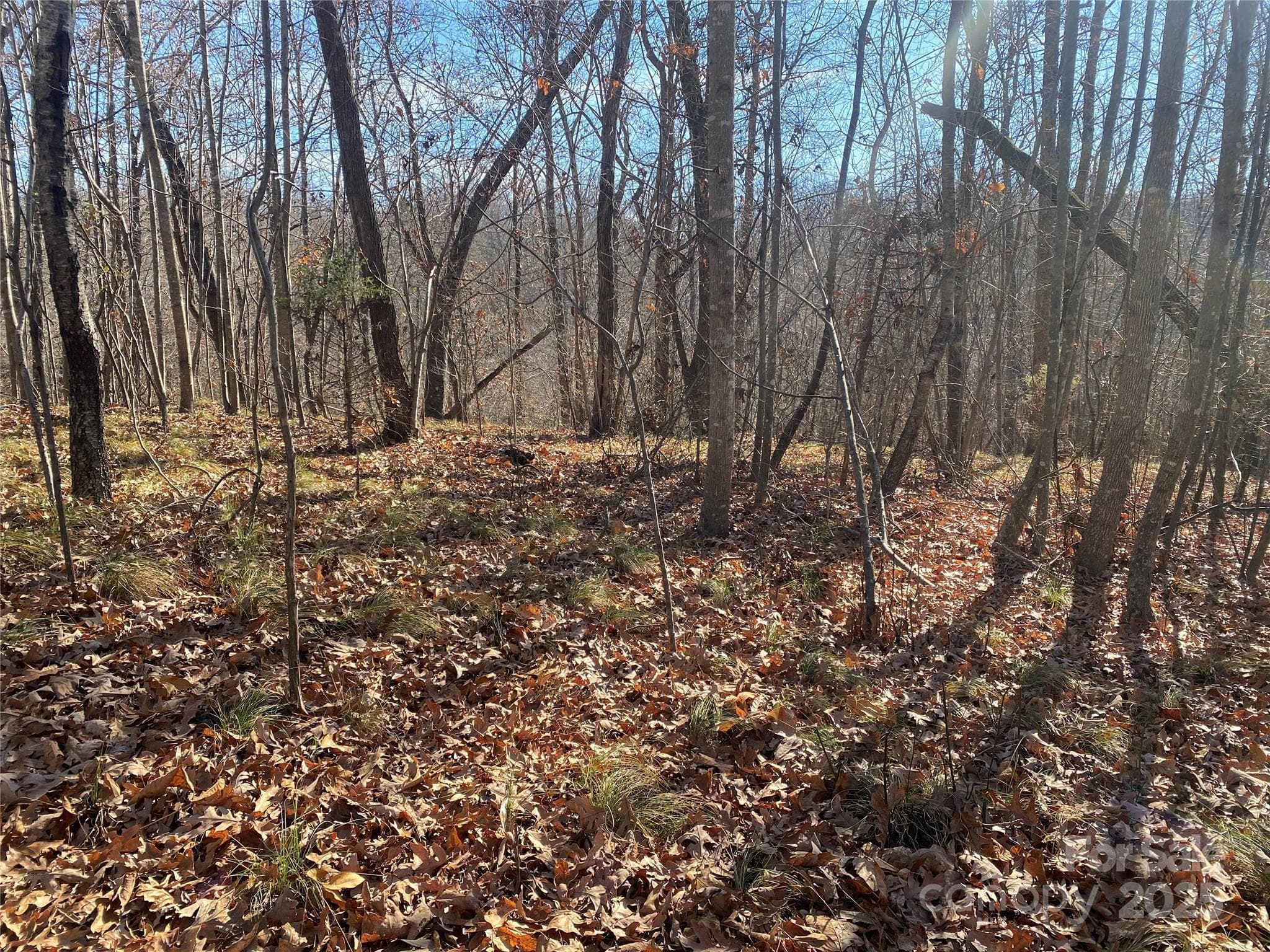 Lot at 00 Kiser Road, Bostic, photo 5 of 15