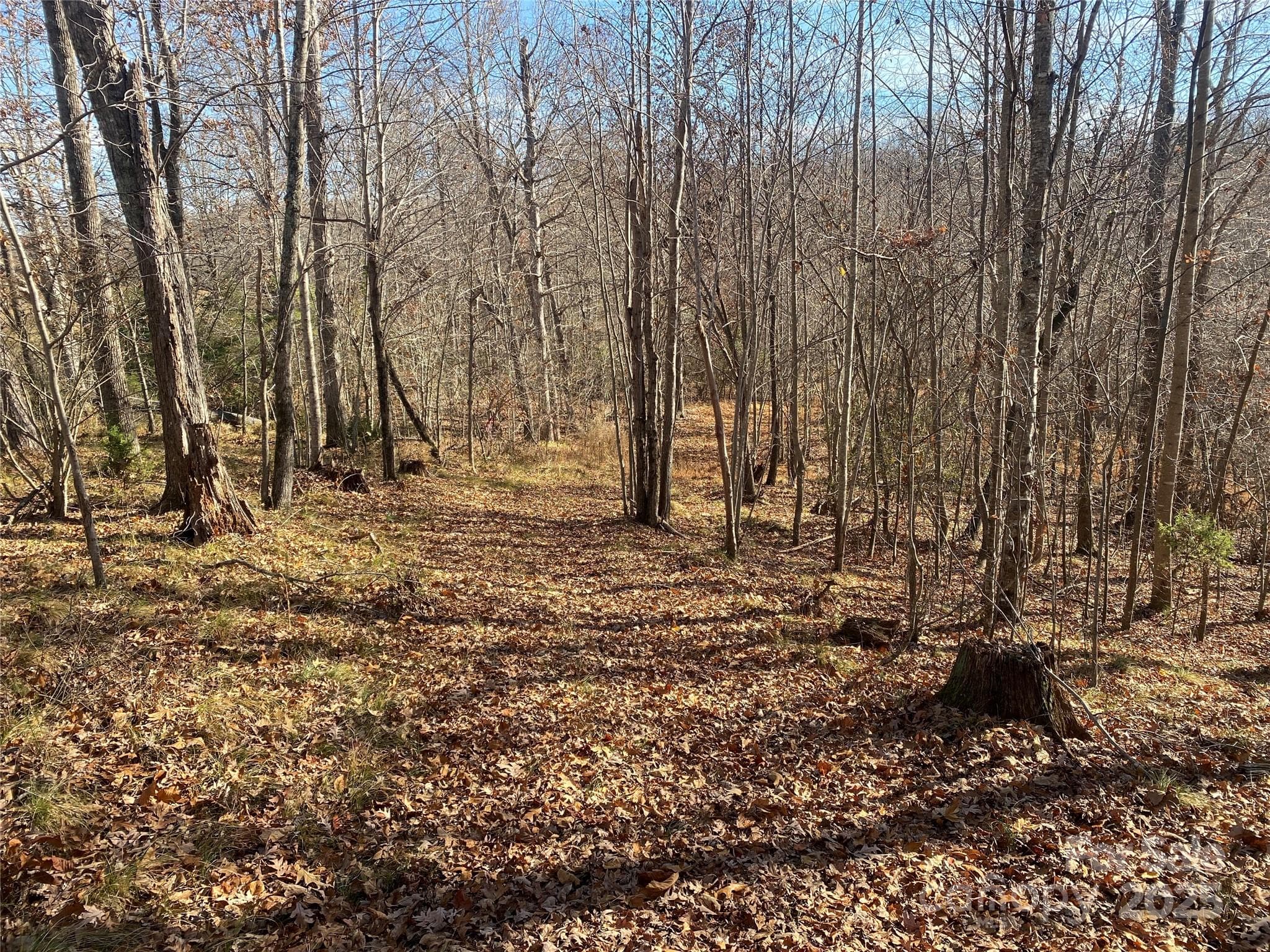 Lot at 00 Kiser Road, Bostic, photo 6 of 15