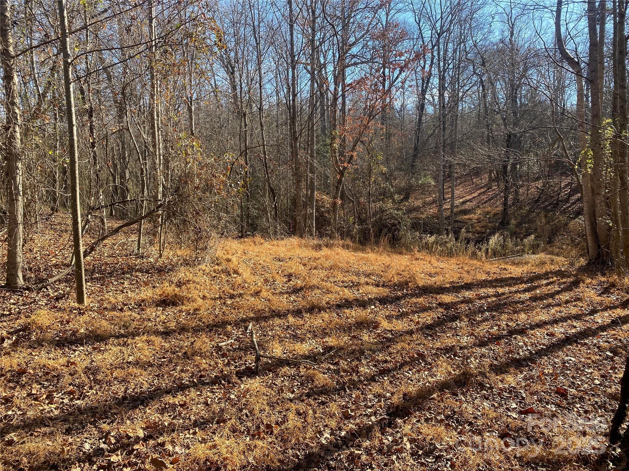 Lot at 00 Kiser Road, Bostic, photo 8 of 15