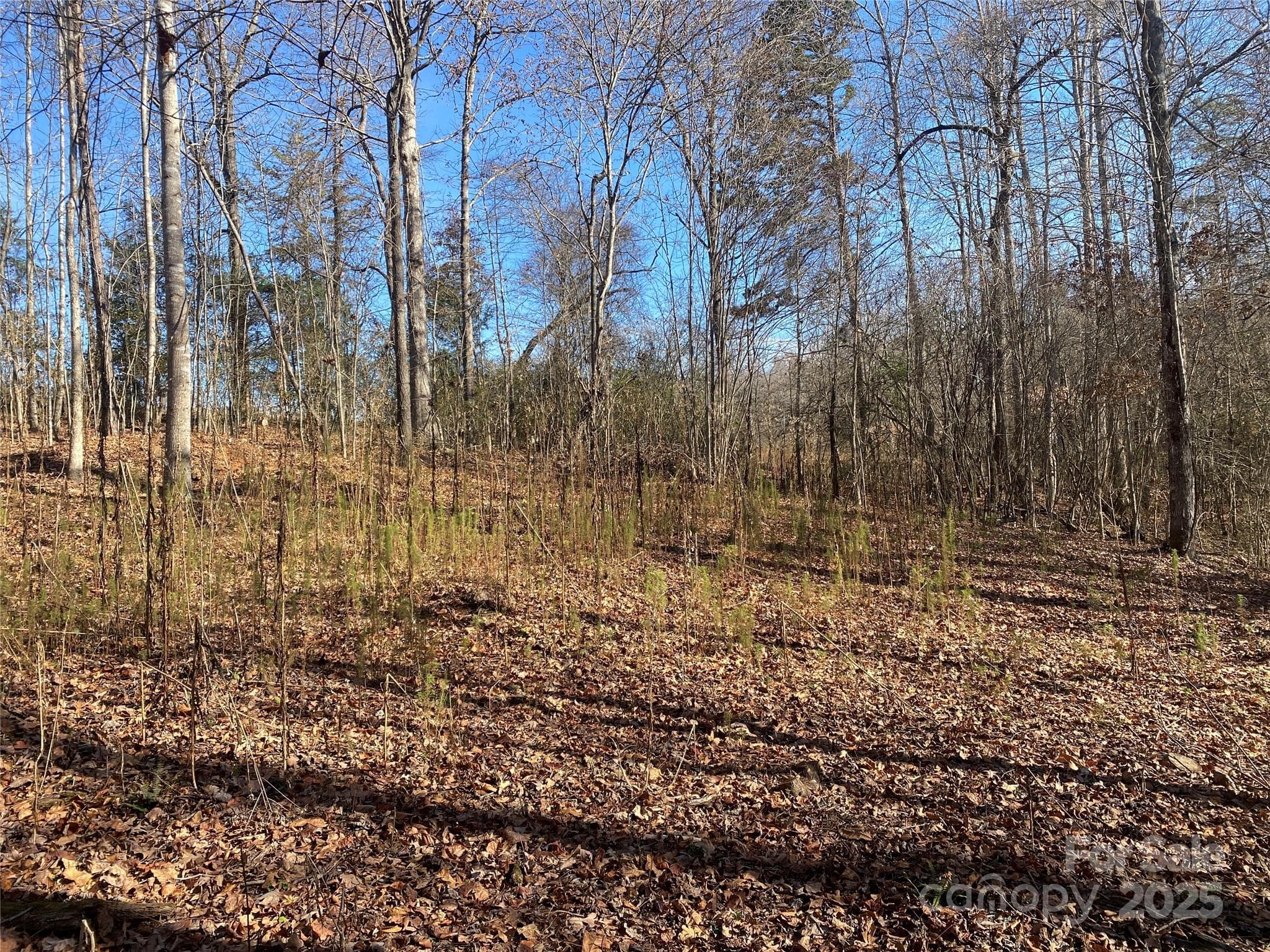 Lot at 00 Kiser Road, Bostic, photo 9 of 15