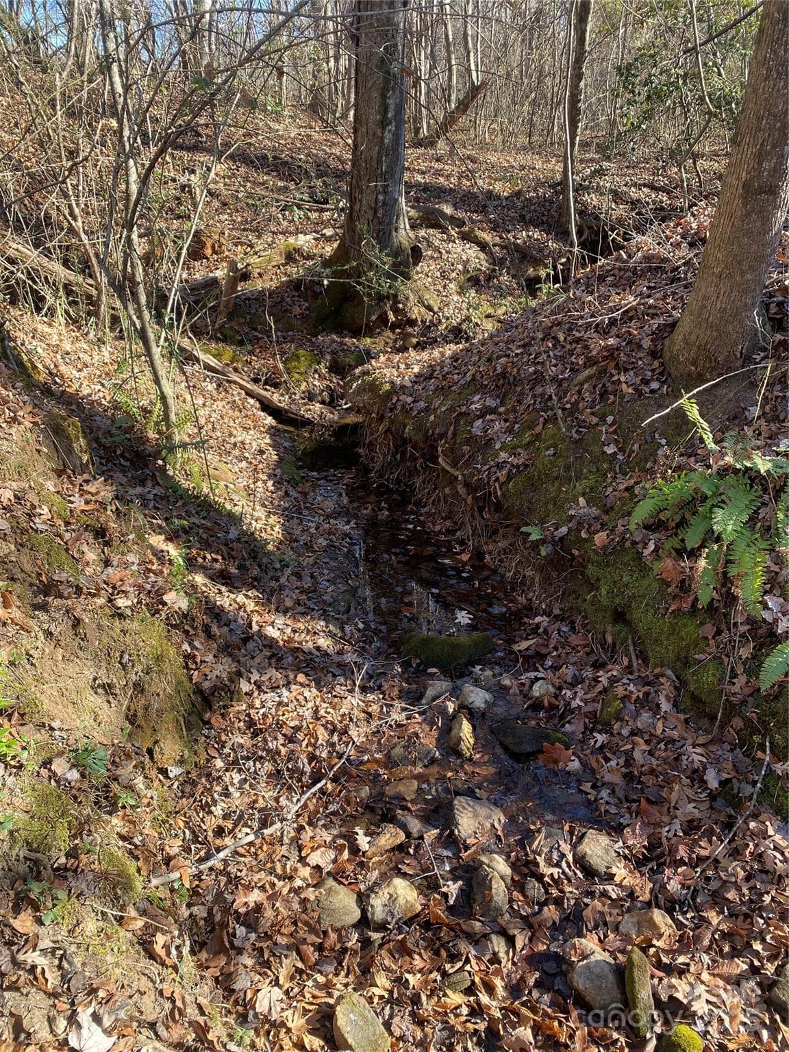 Lot at 00 Kiser Road, Bostic, photo 11 of 15