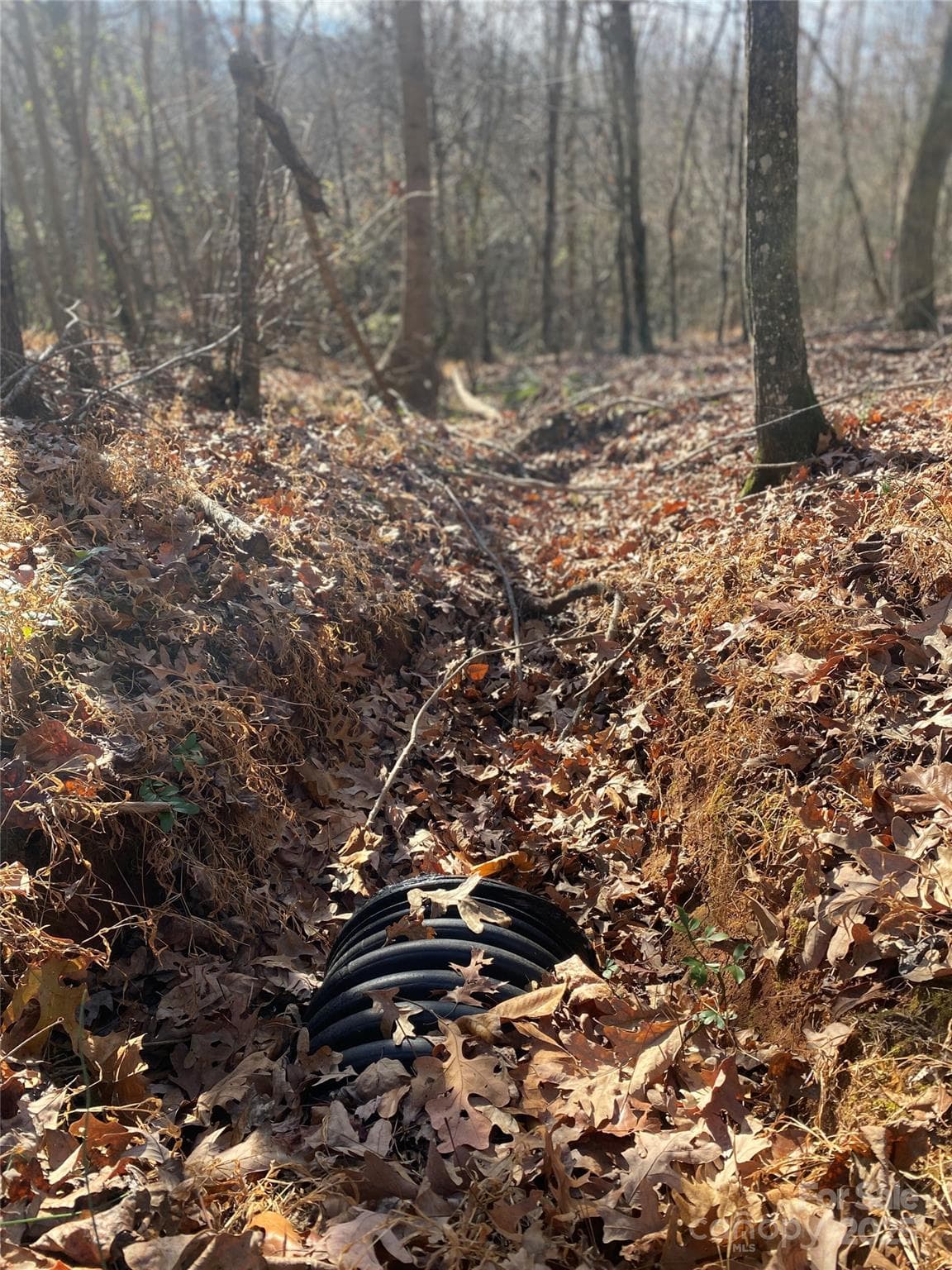 Lot at 00 Kiser Road, Bostic, photo 12 of 15