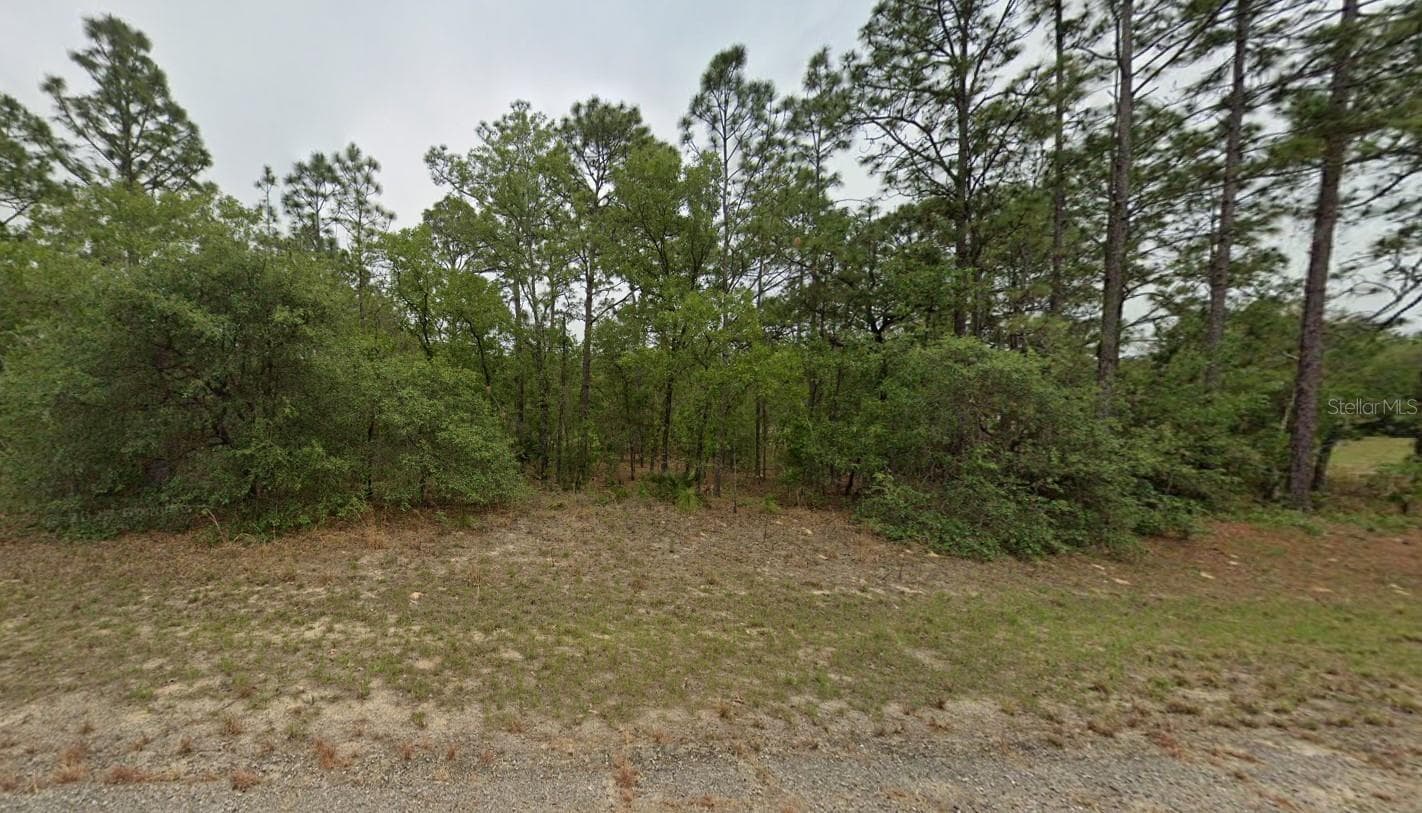 Land at 7627 N DALTON TER, DUNNELLON, photo 3 of 3