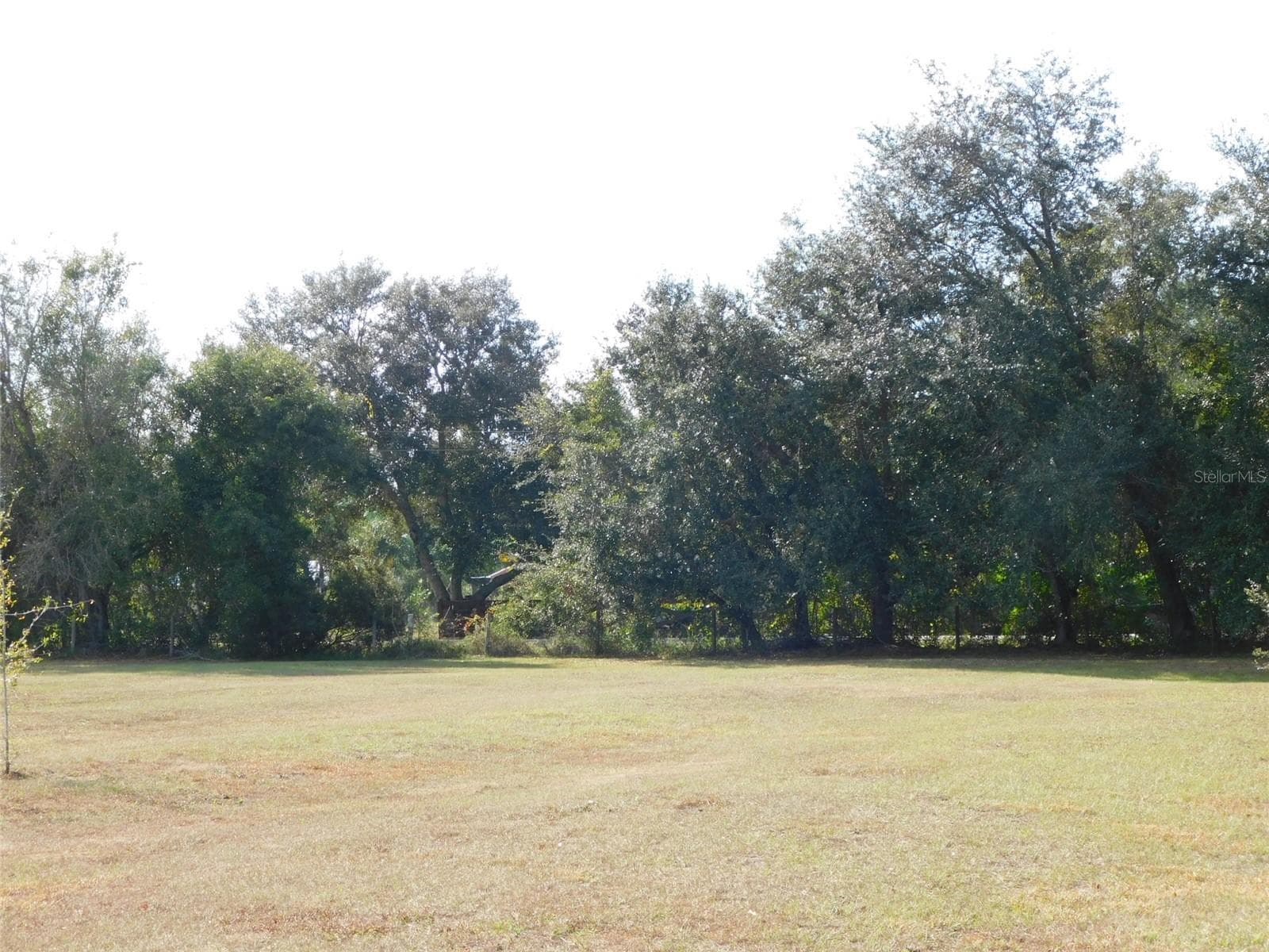 Land at 2460 NW GARVIN AVE, ARCADIA, photo 4 of 27