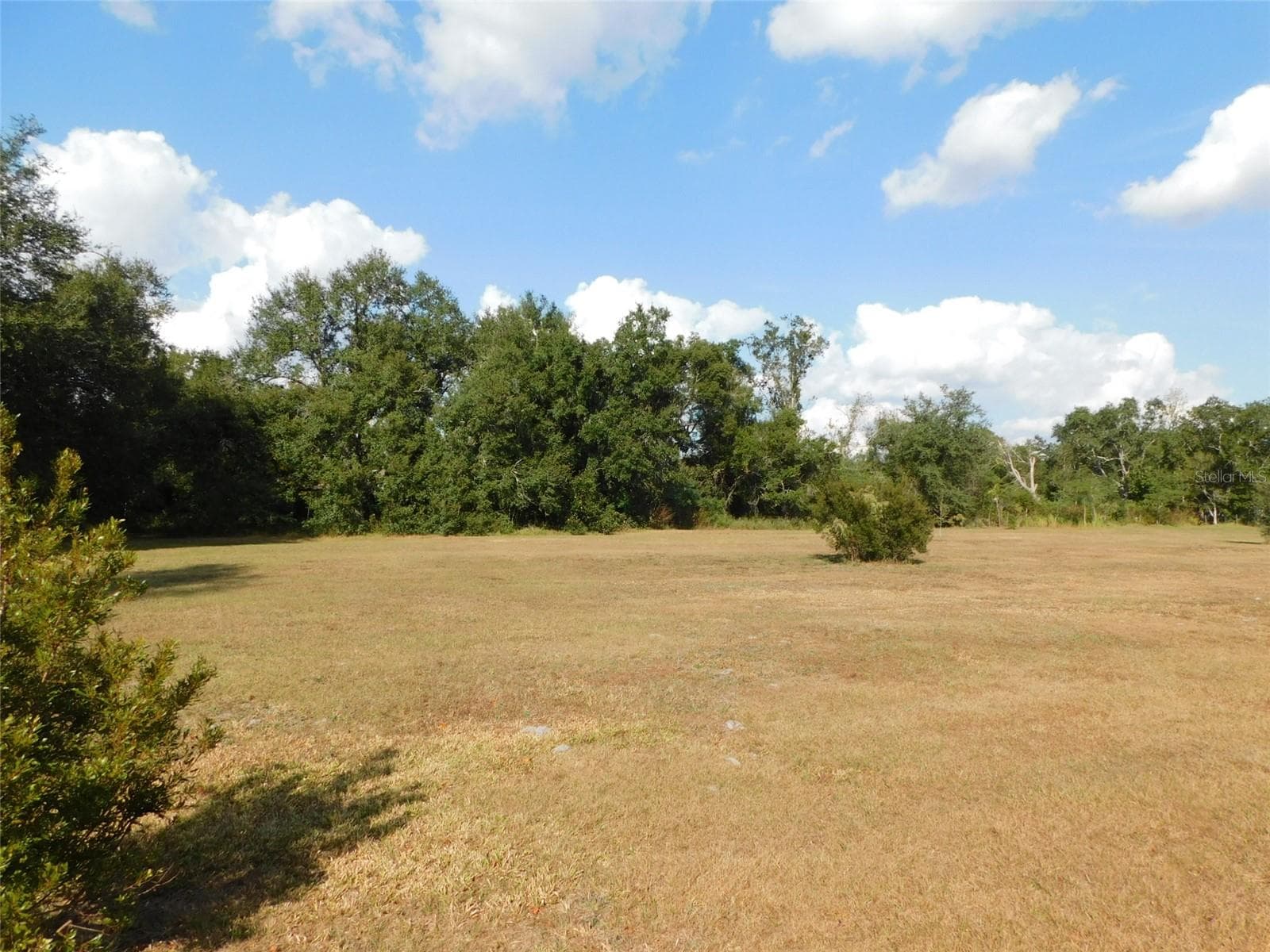 Land at 2460 NW GARVIN AVE, ARCADIA, photo 9 of 27