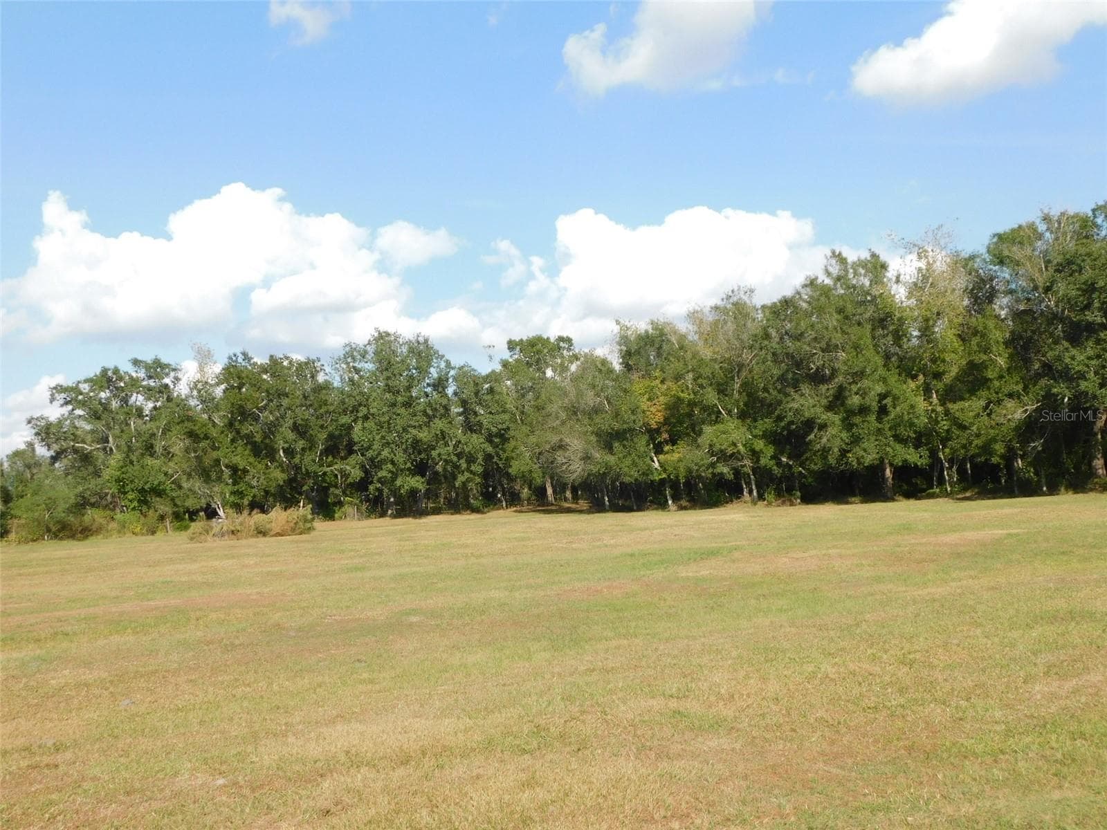Land at 2460 NW GARVIN AVE, ARCADIA, photo 10 of 27