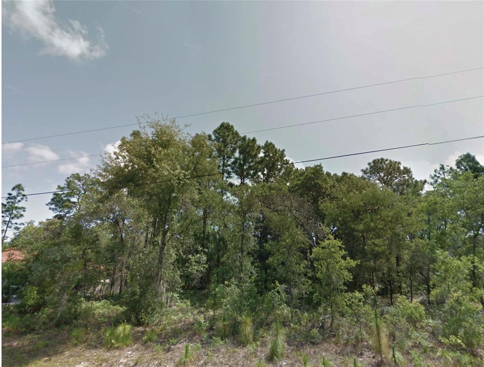 8383 N MANUETTA DR