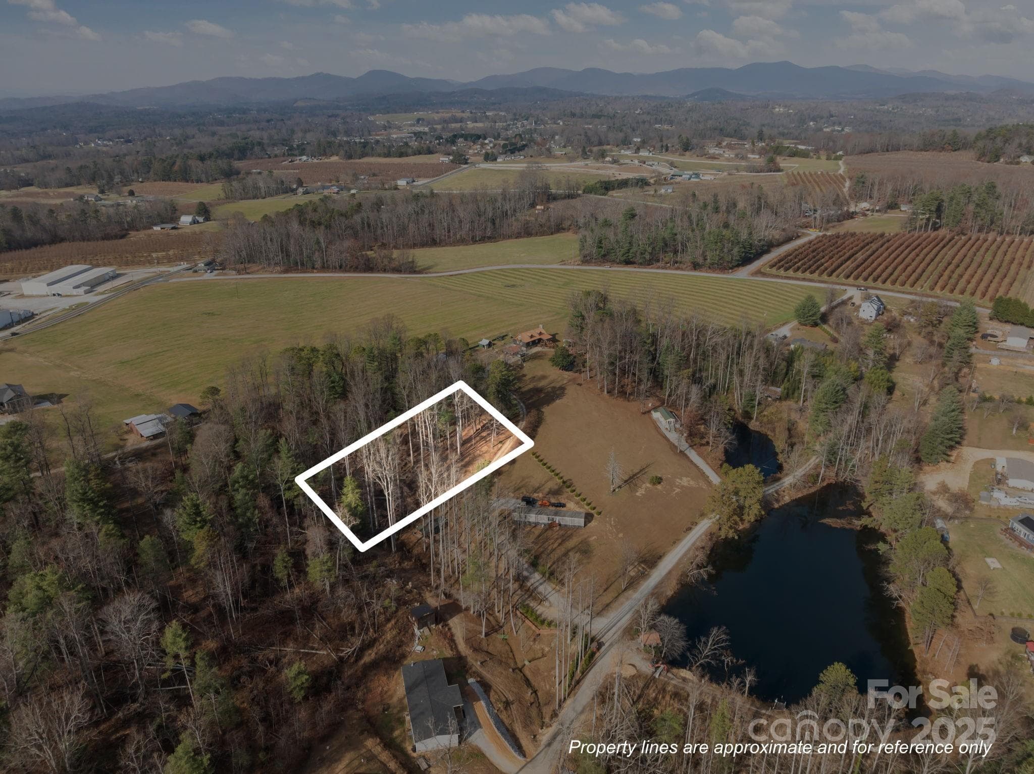 Lot at 99999 Twin Lakes Drive, Flat Rock, photo 3 of 18