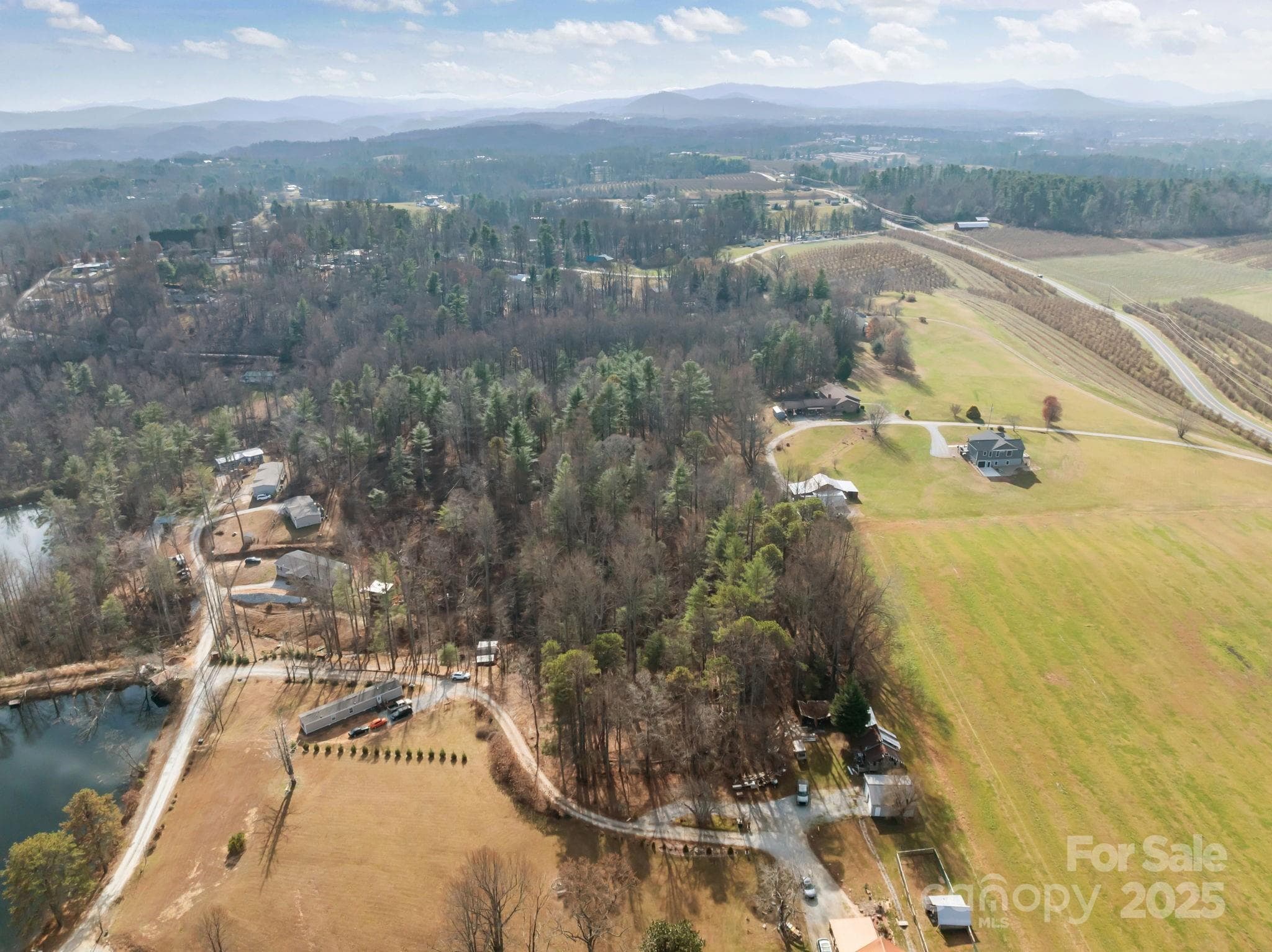 Lot at 99999 Twin Lakes Drive, Flat Rock, photo 4 of 18