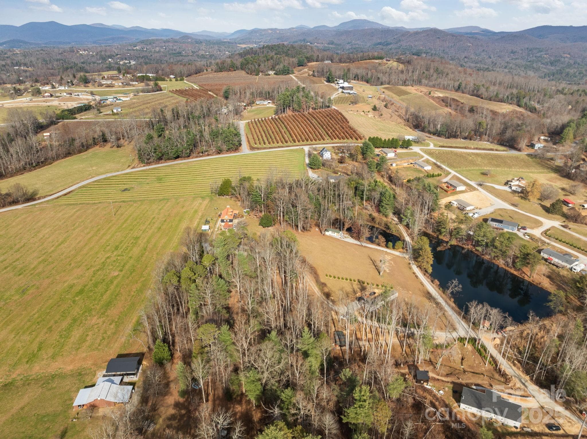Lot at 99999 Twin Lakes Drive, Flat Rock, photo 9 of 18
