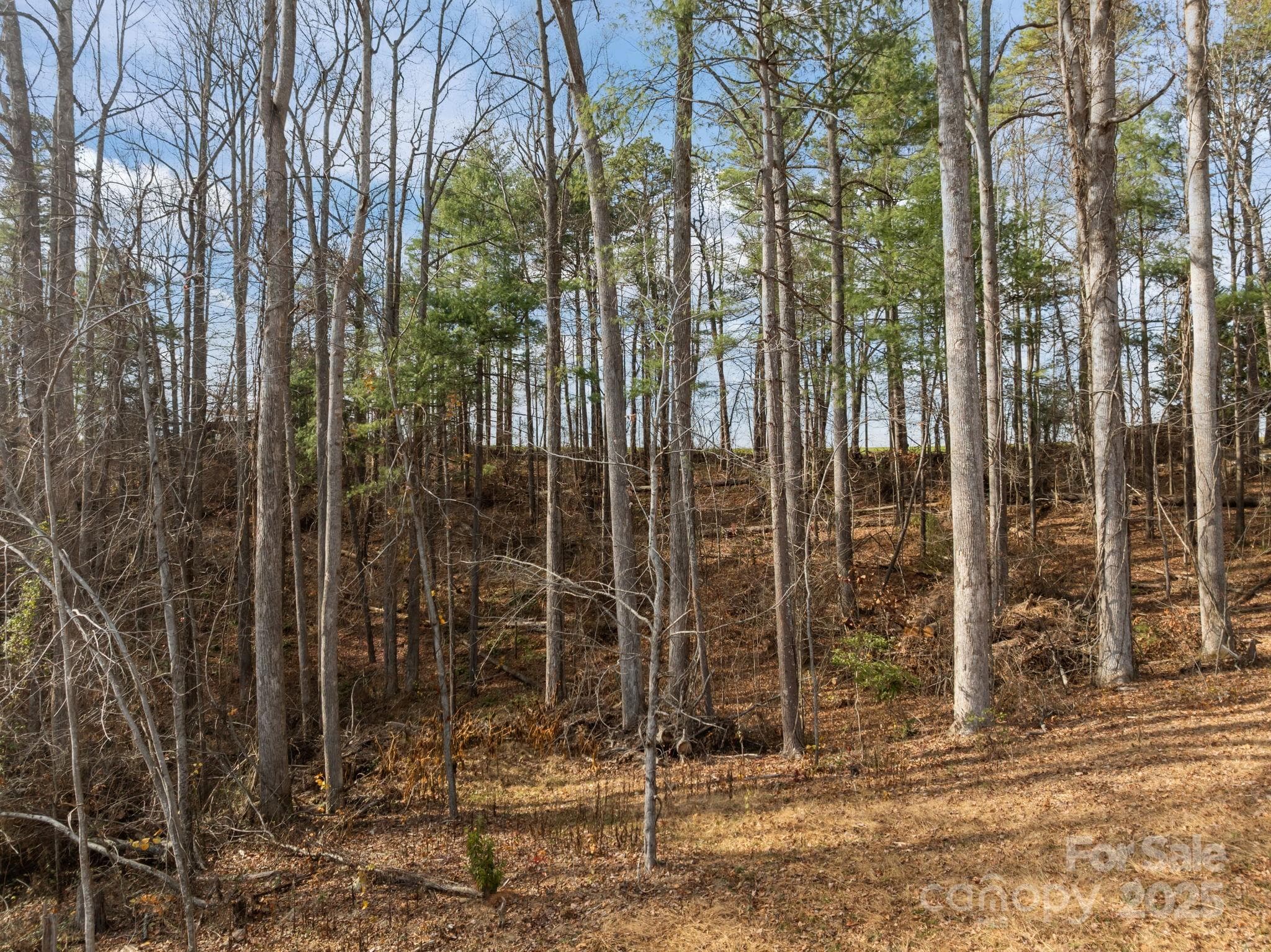 Lot at 99999 Twin Lakes Drive, Flat Rock, photo 15 of 18