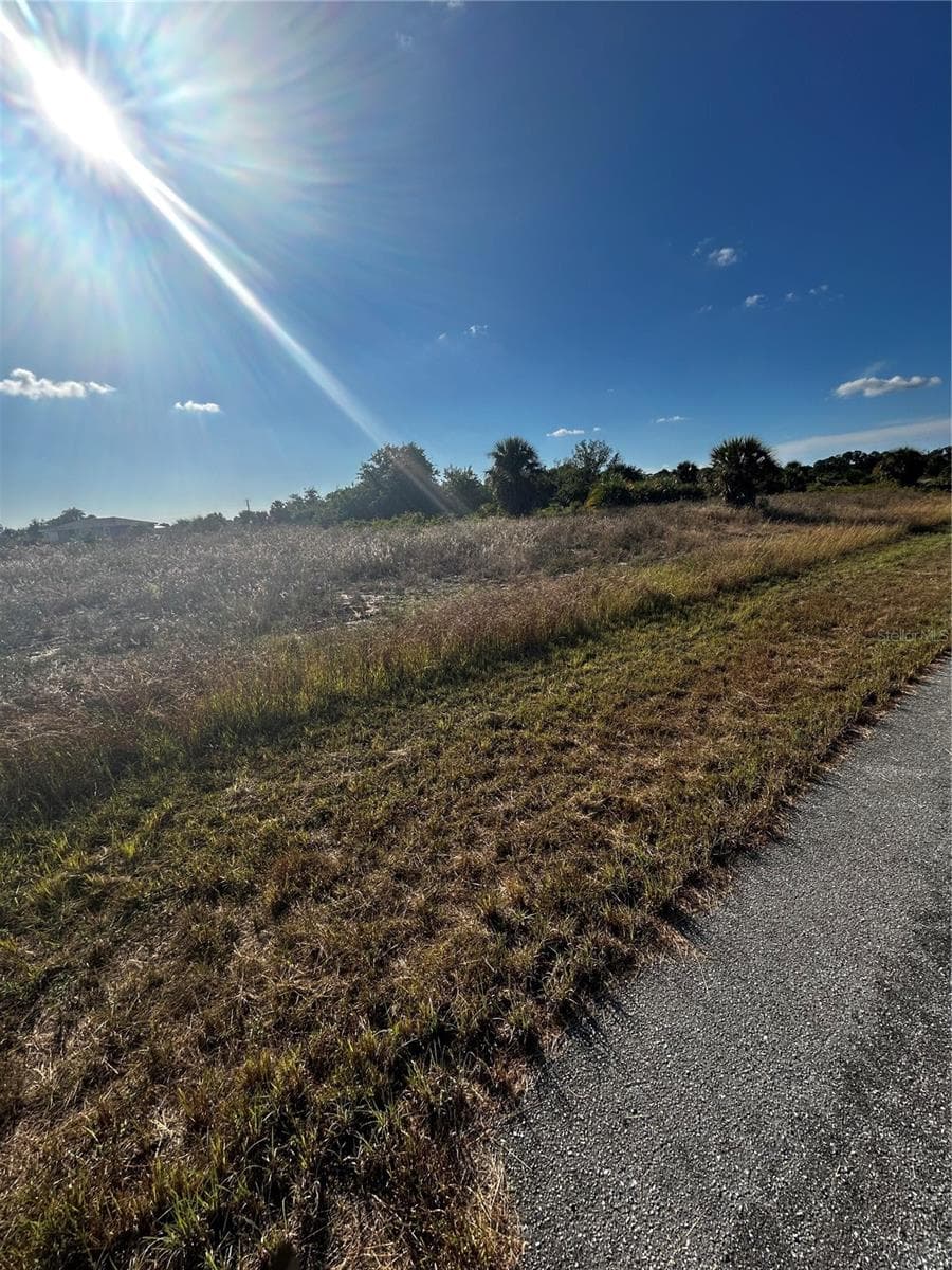 Nearby street and neighborhood surroundings - 216 LEINSTER PL, LABELLE