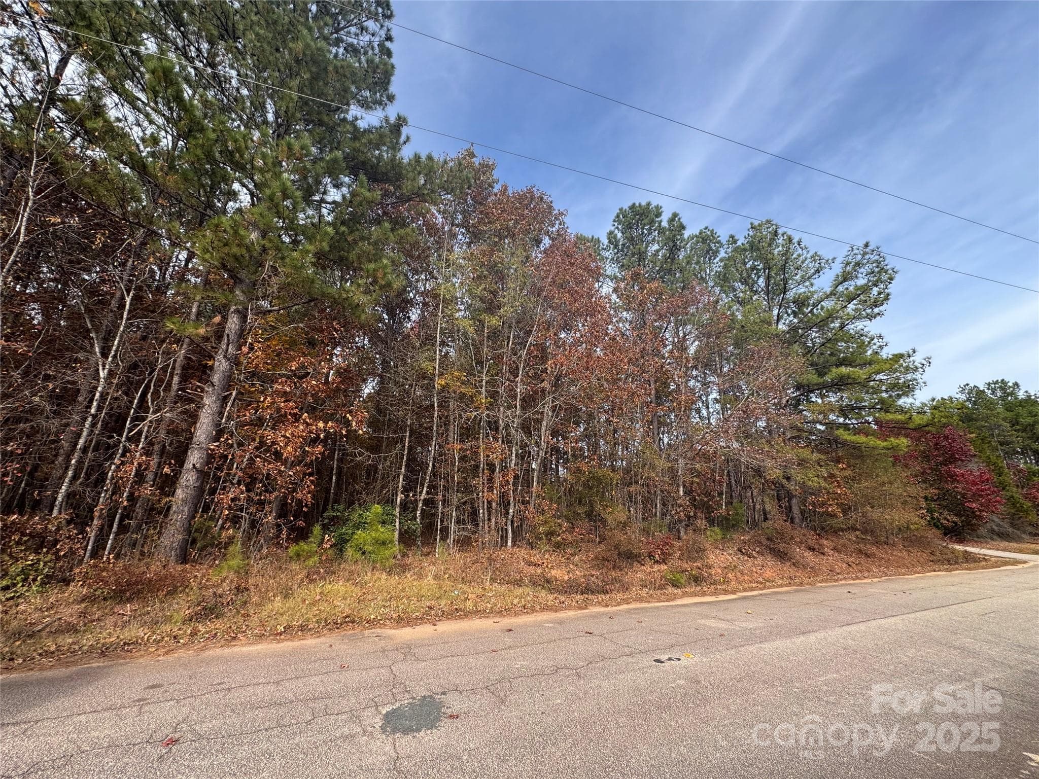 Acreage at 00 Russell Road, Blackstock, photo 2 of 3