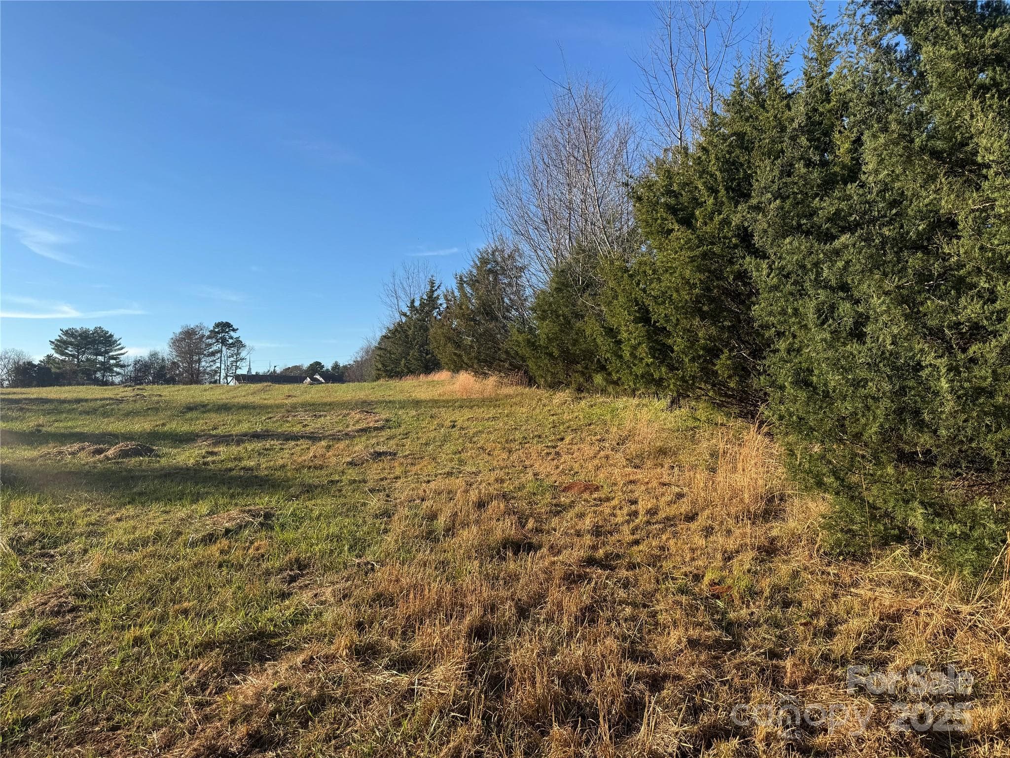Acreage at 0 Bradley Road, Gaffney, photo 6 of 13