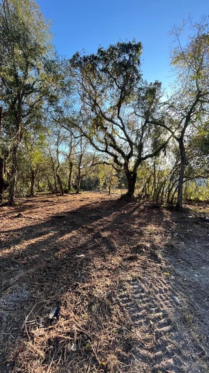 Land at HAGAR DRIVE, NEW PORT RICHEY, photo 2 of 10