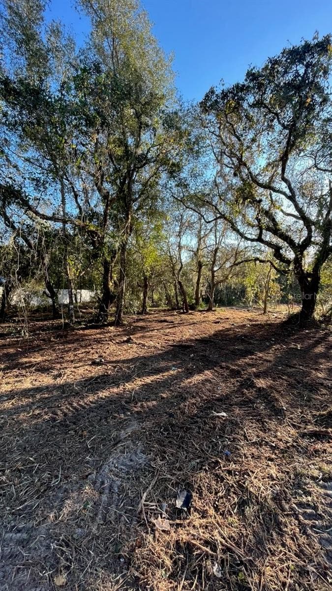 Land at HAGAR DRIVE, NEW PORT RICHEY, photo 3 of 10