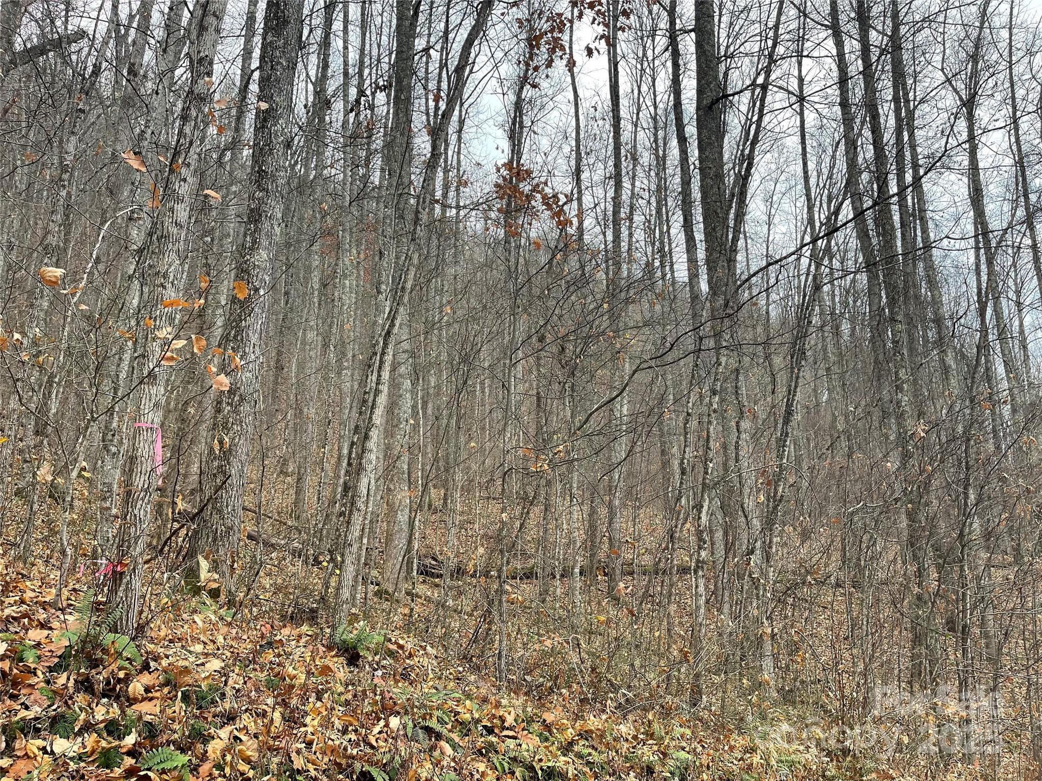 Lot at 805 Sparkling Falls Road, Whittier, photo 3 of 33