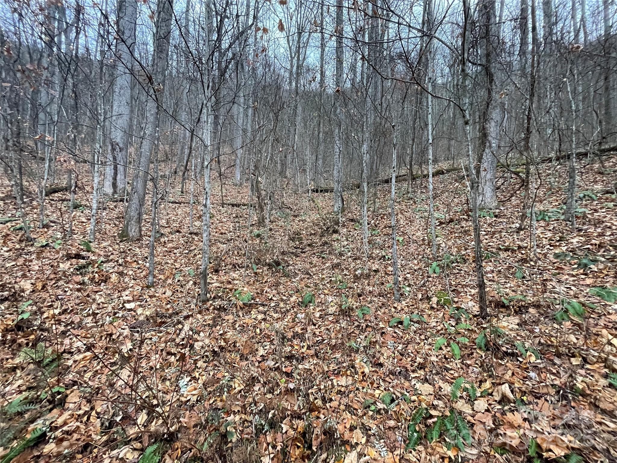 Lot at 805 Sparkling Falls Road, Whittier, photo 4 of 33