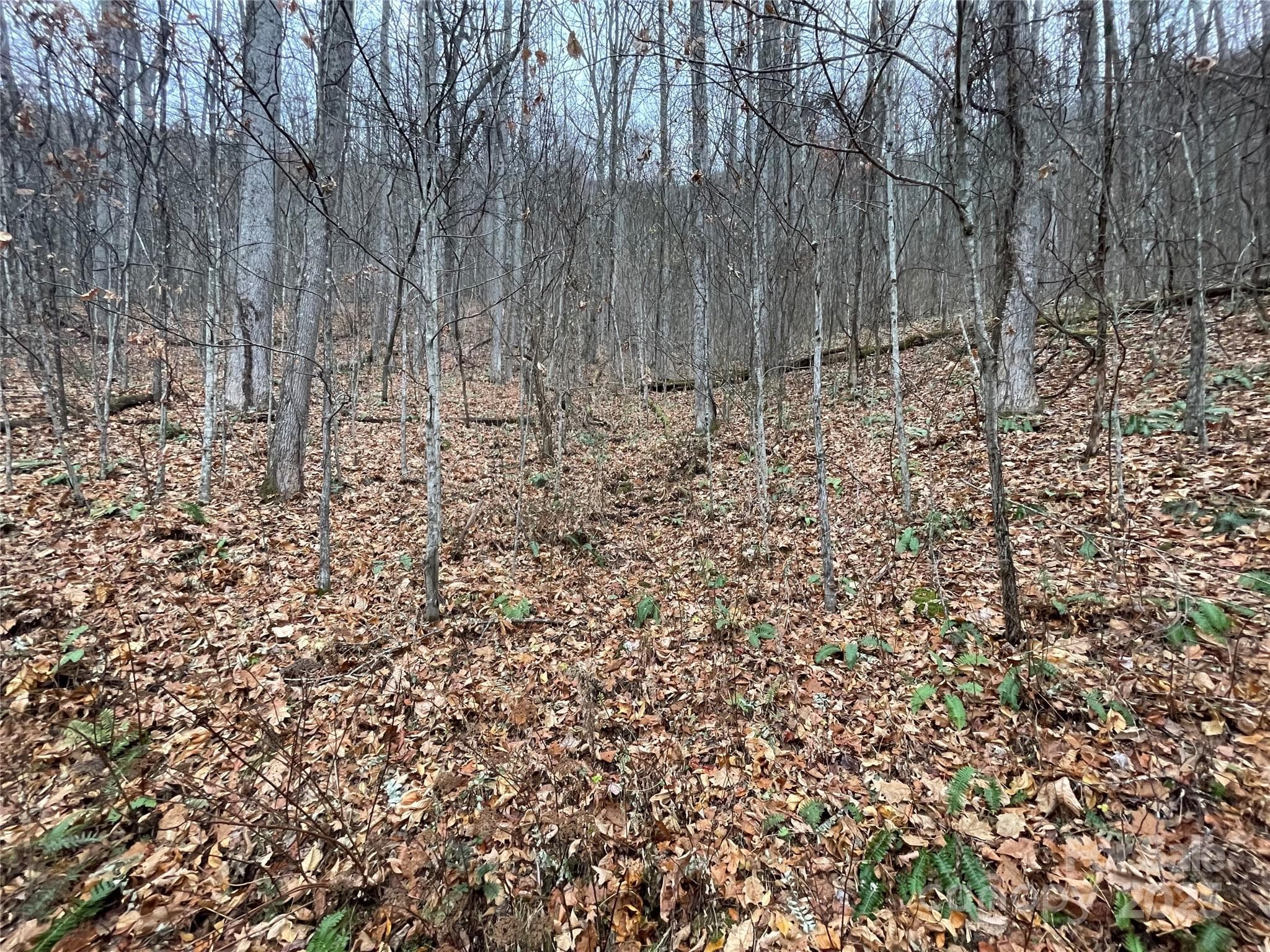 Lot at 805 Sparkling Falls Road, Whittier, photo 5 of 33