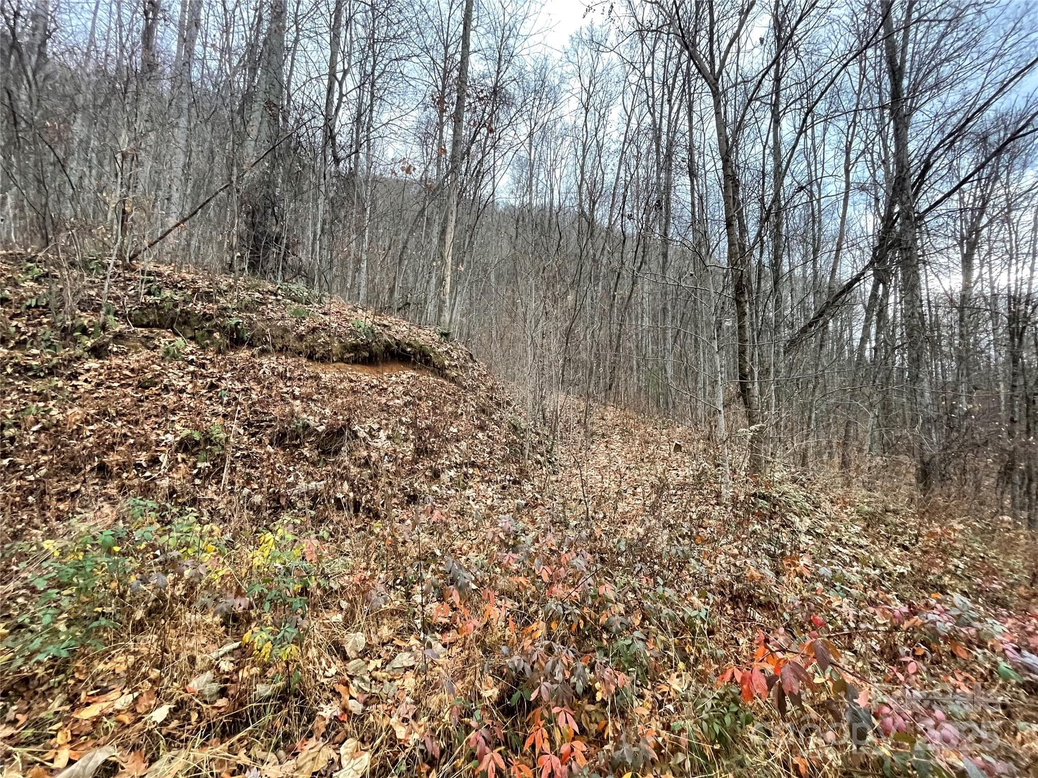 Lot at 805 Sparkling Falls Road, Whittier, photo 6 of 33