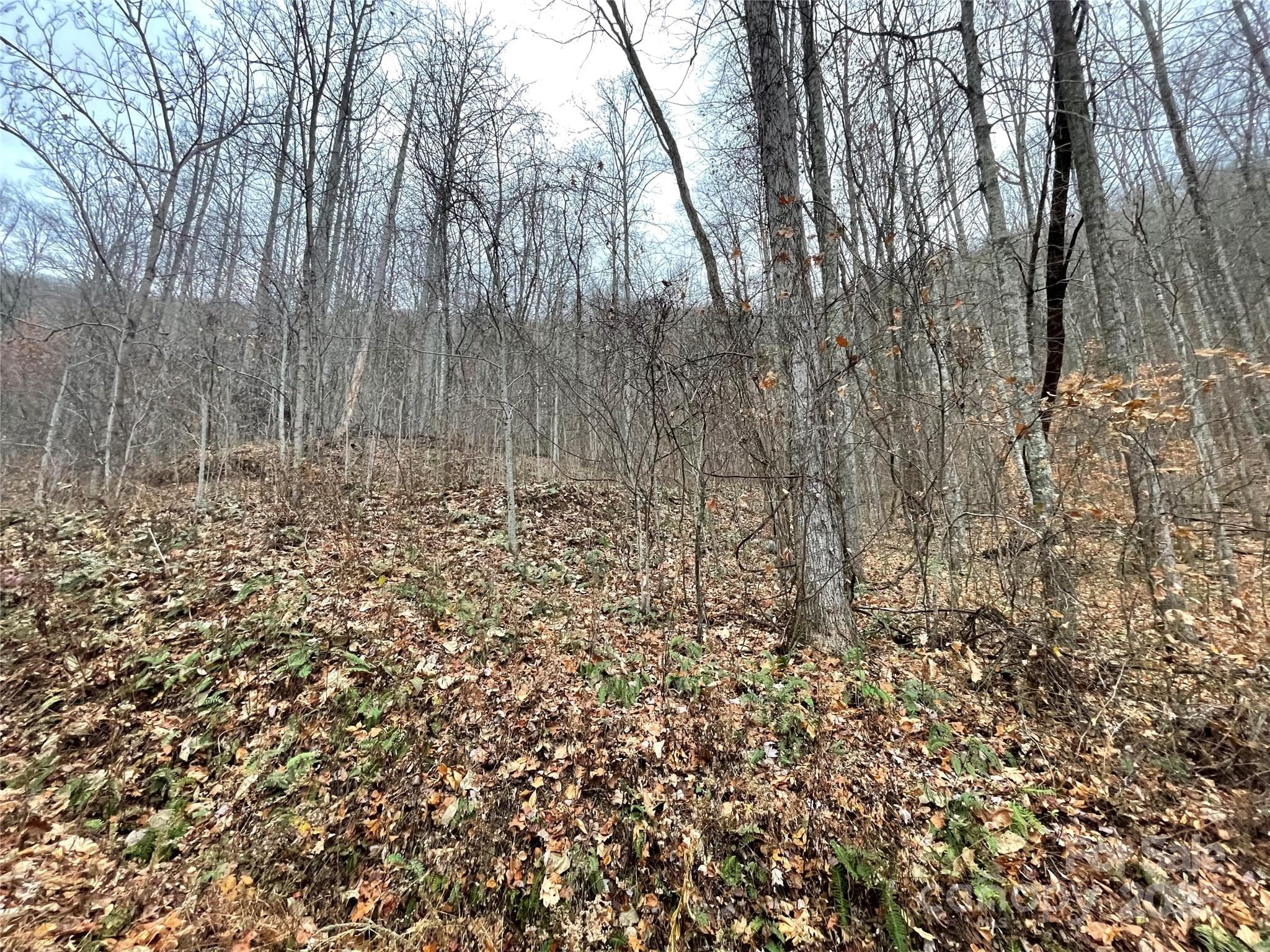Lot at 805 Sparkling Falls Road, Whittier, photo 7 of 33