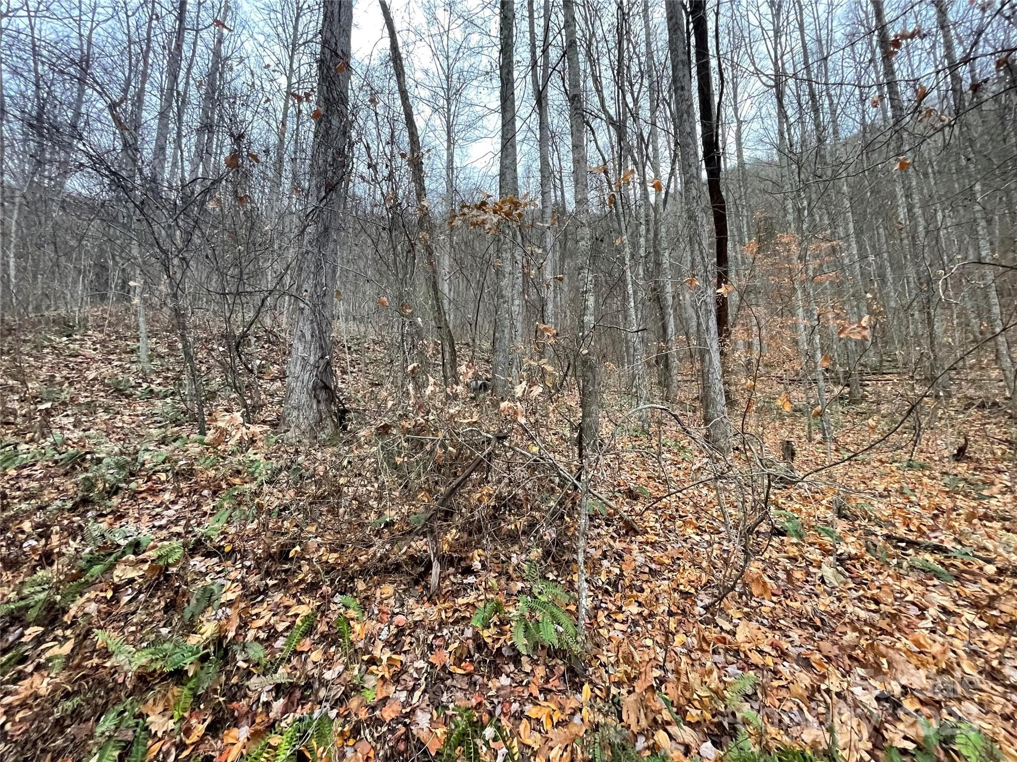 Lot at 805 Sparkling Falls Road, Whittier, photo 8 of 33