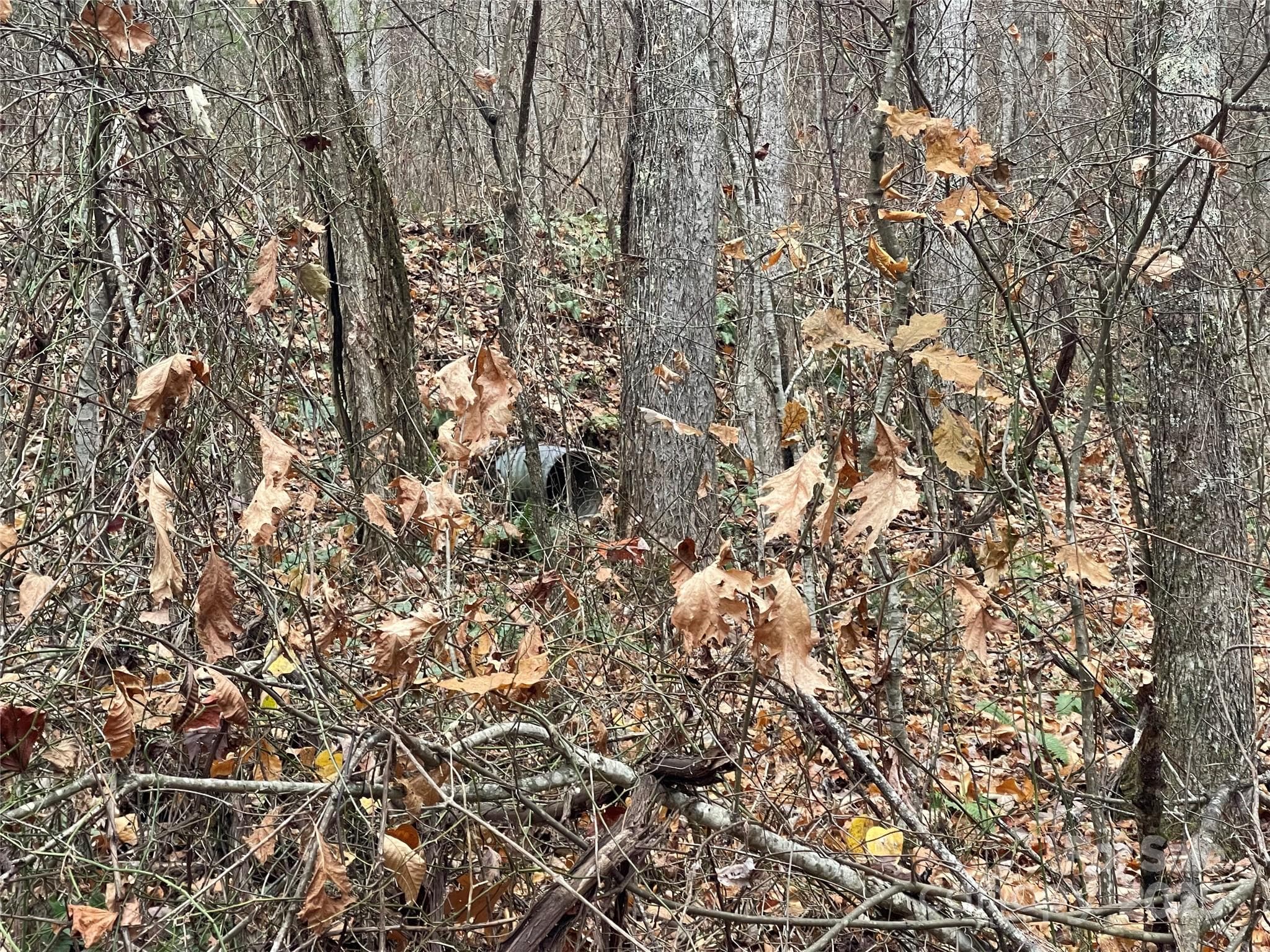 Lot at 805 Sparkling Falls Road, Whittier, photo 9 of 33