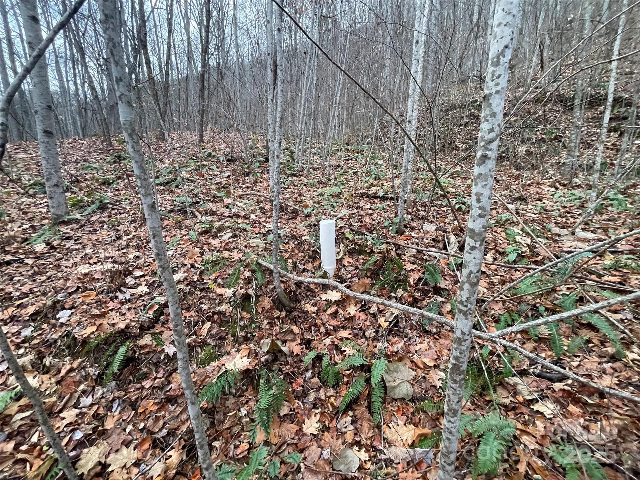 Lot at 805 Sparkling Falls Road, Whittier, photo 13 of 33