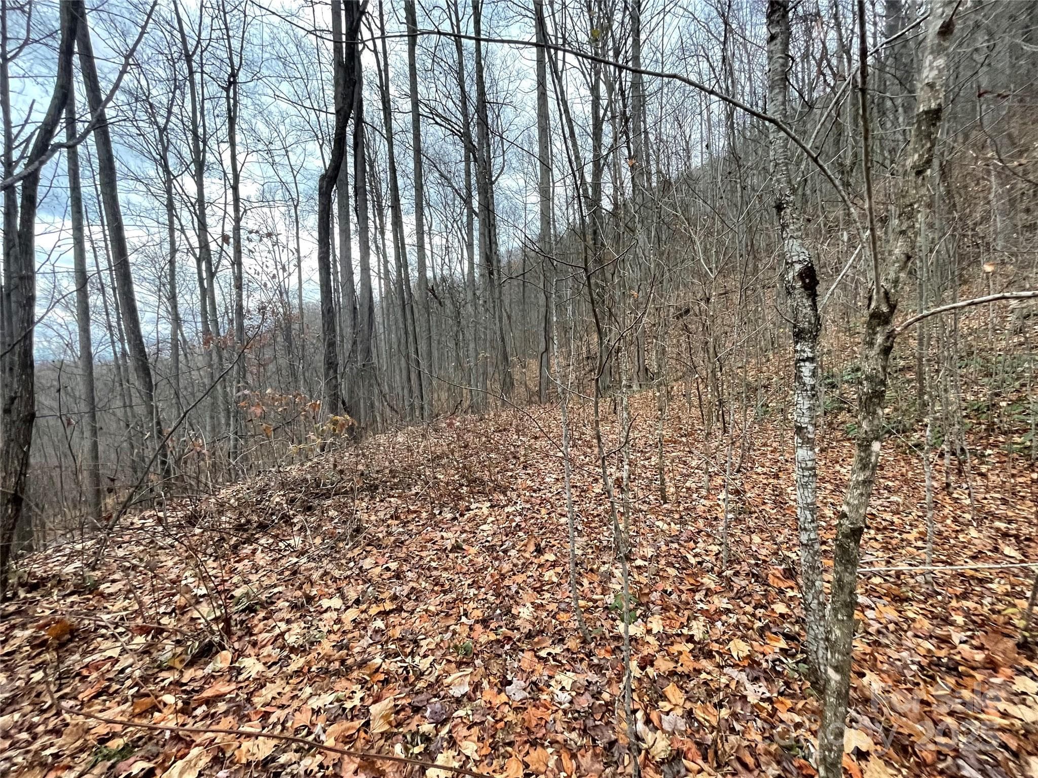 Lot at 805 Sparkling Falls Road, Whittier, photo 17 of 33