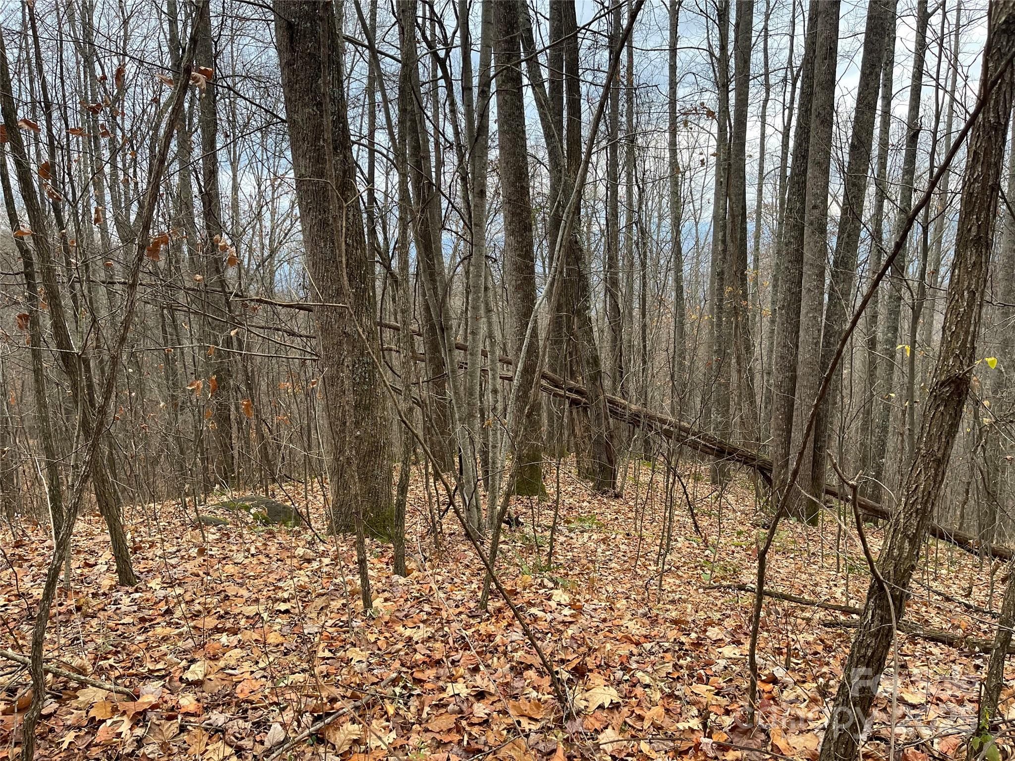 Lot at 805 Sparkling Falls Road, Whittier, photo 18 of 33