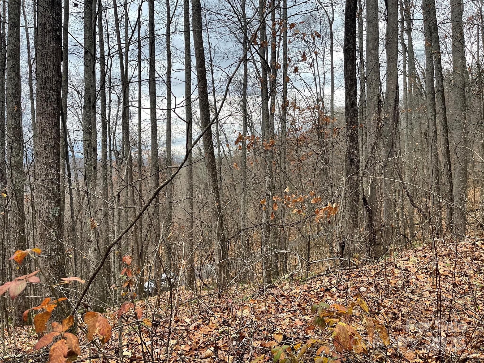 Lot at 805 Sparkling Falls Road, Whittier, photo 19 of 33