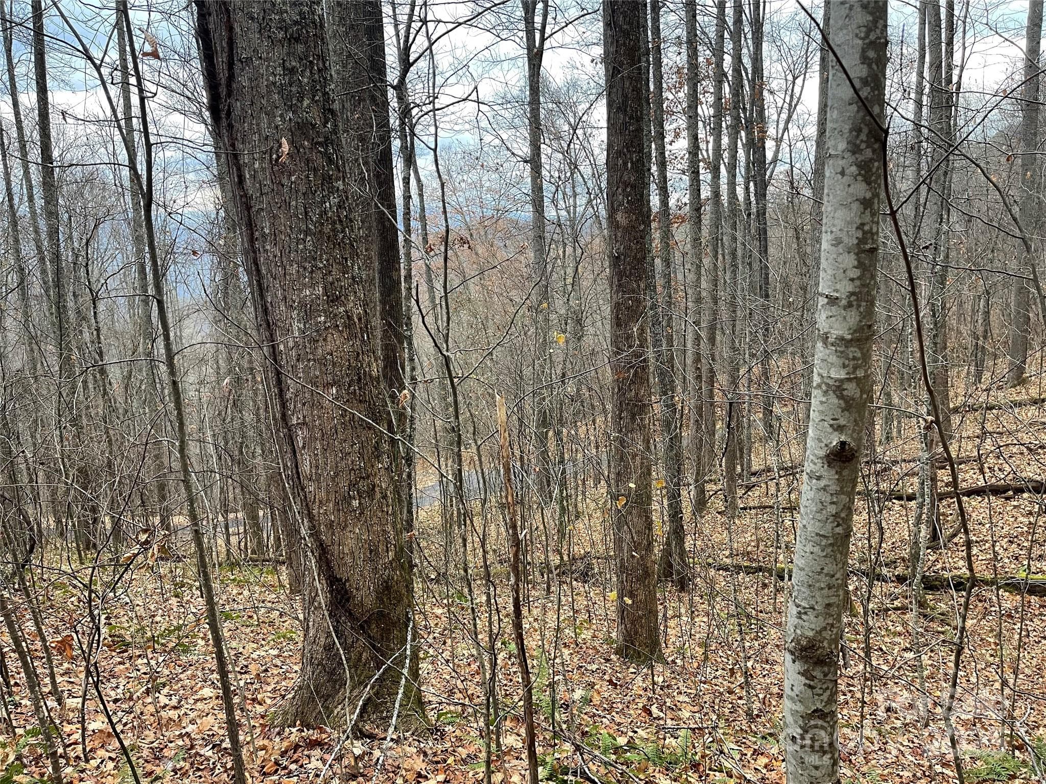 Lot at 805 Sparkling Falls Road, Whittier, photo 20 of 33