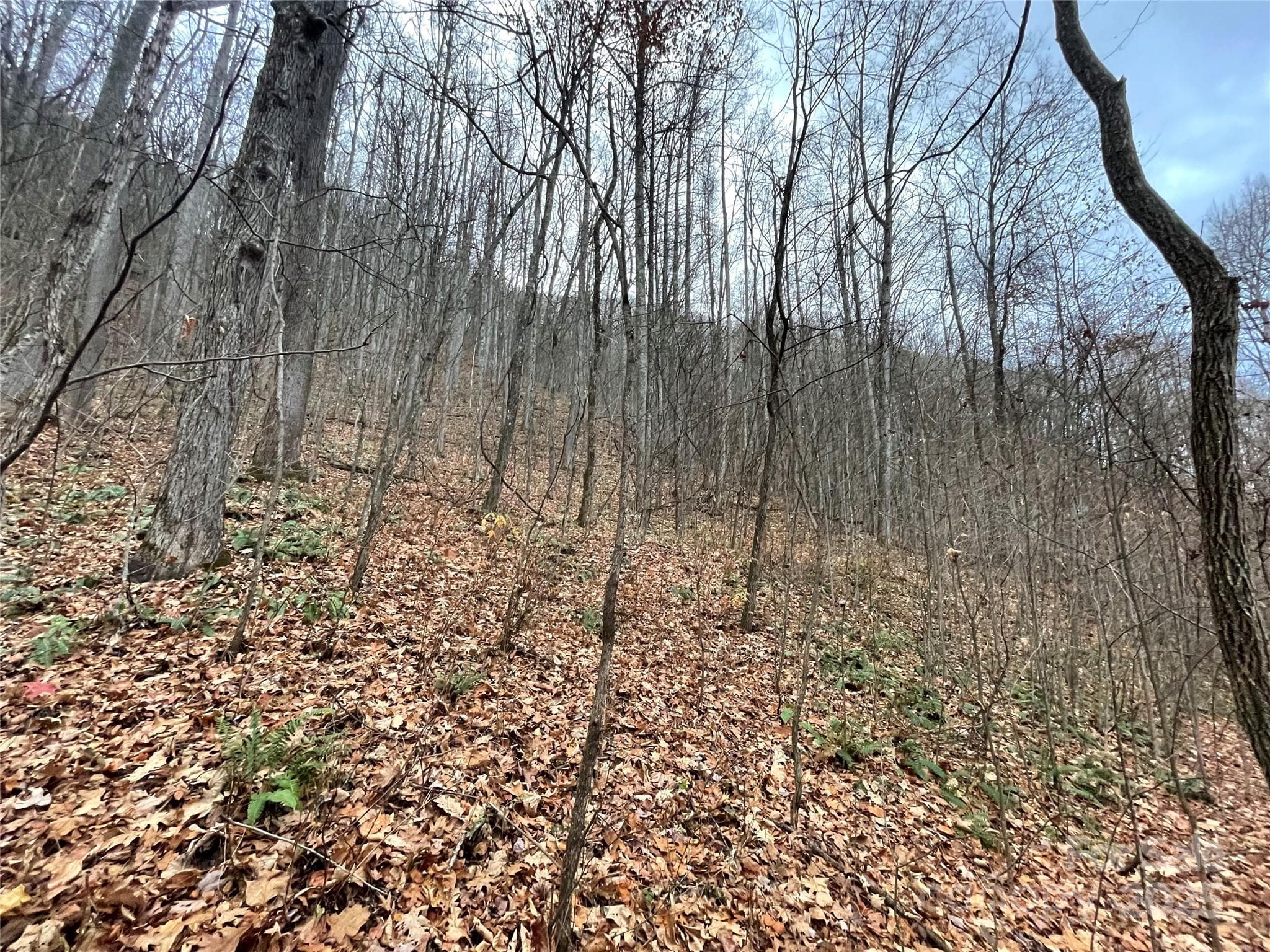 Lot at 805 Sparkling Falls Road, Whittier, photo 21 of 33