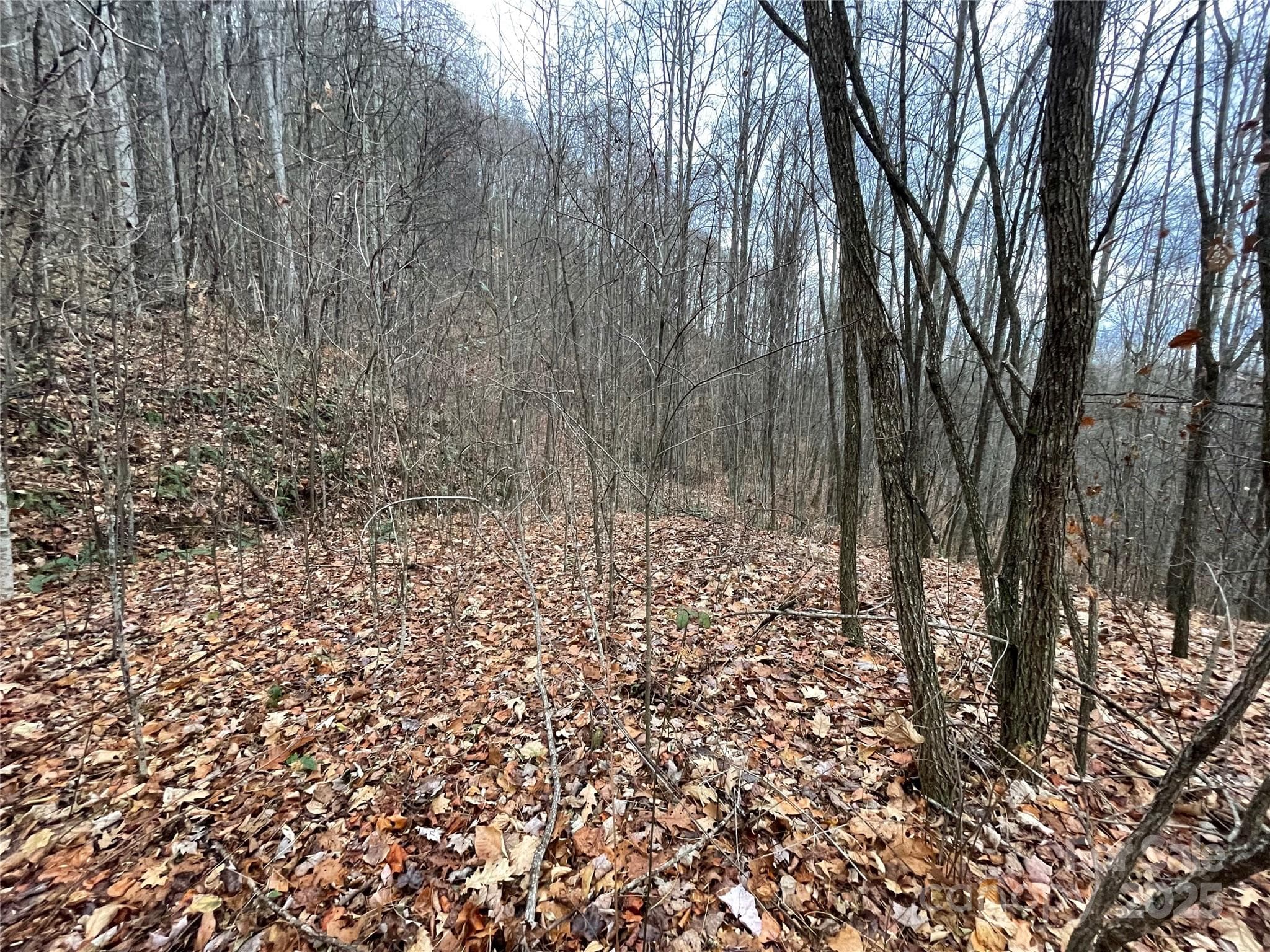 Lot at 805 Sparkling Falls Road, Whittier, photo 23 of 33