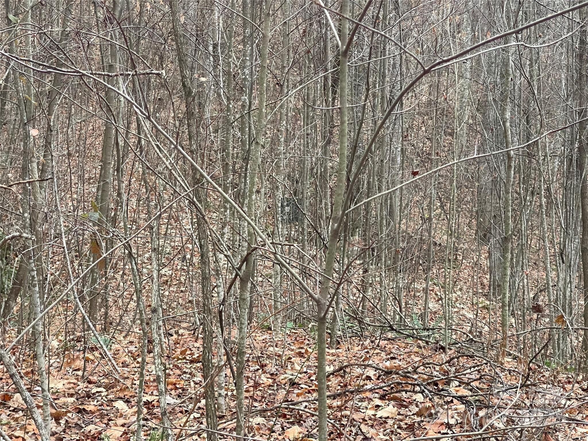 Lot at 805 Sparkling Falls Road, Whittier, photo 24 of 33