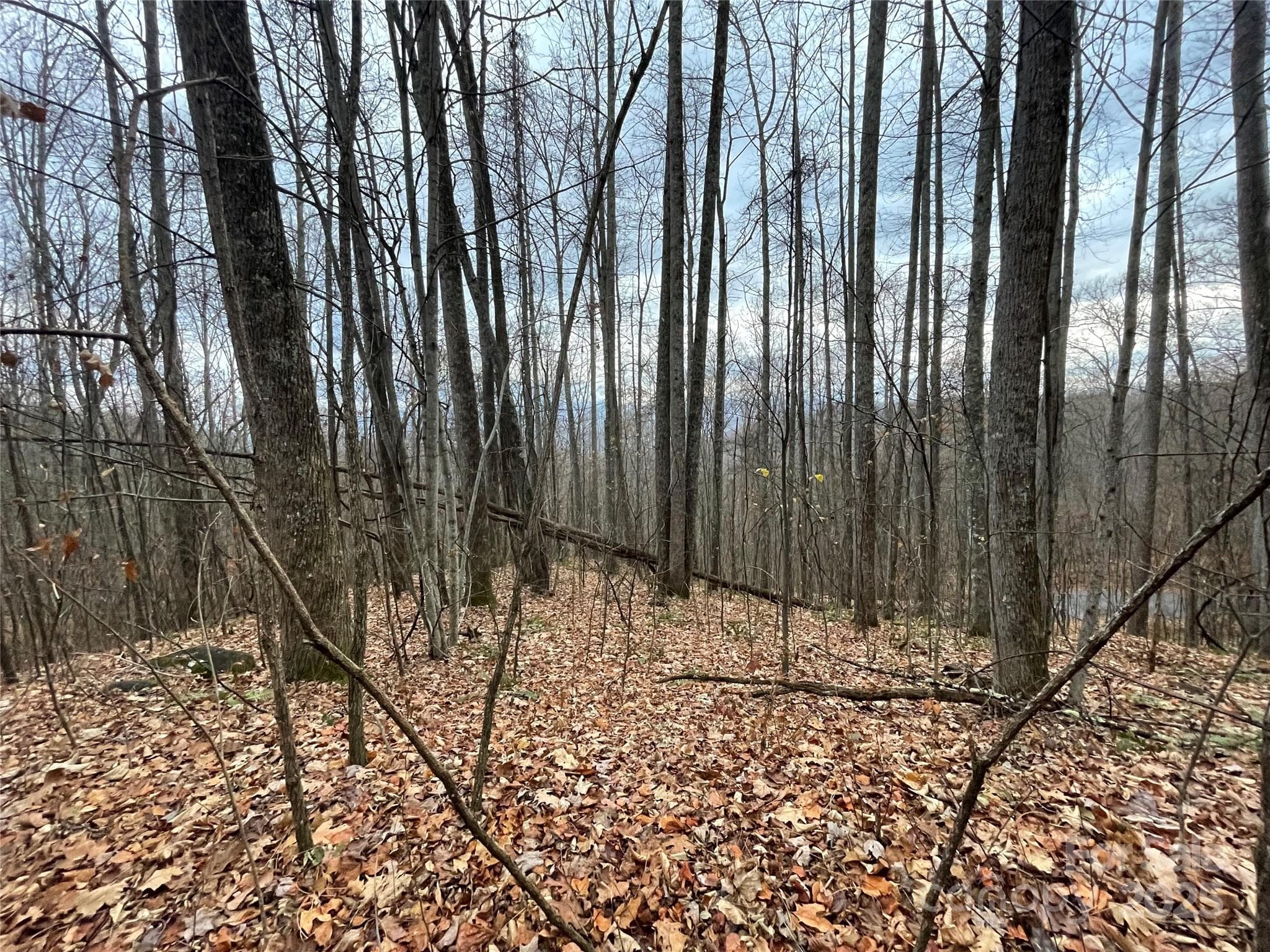 Lot at 805 Sparkling Falls Road, Whittier, photo 25 of 33