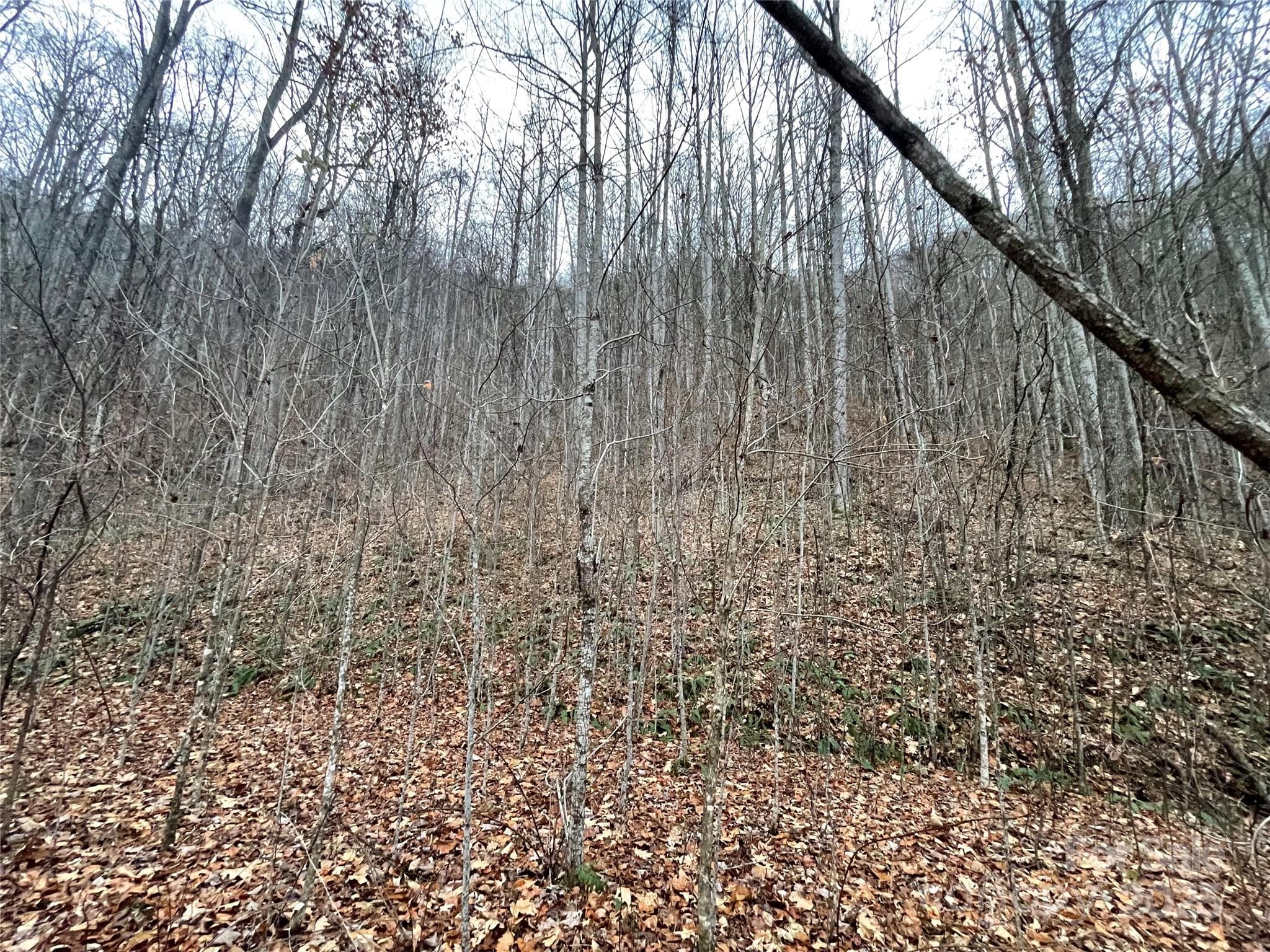 Lot at 805 Sparkling Falls Road, Whittier, photo 26 of 33