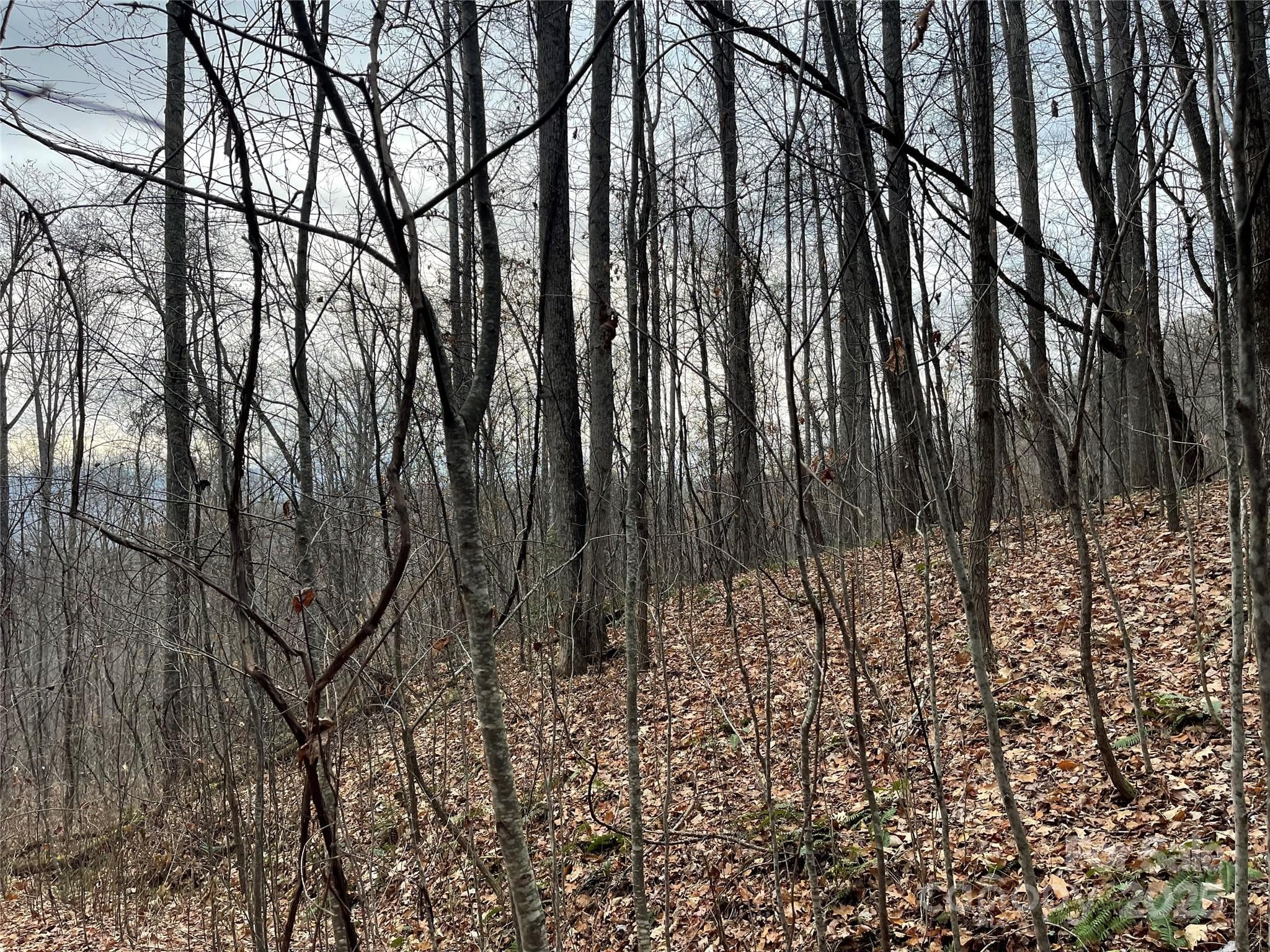 Lot at 805 Sparkling Falls Road, Whittier, photo 27 of 33