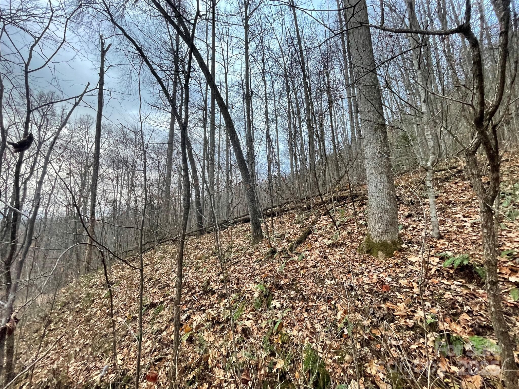Lot at 805 Sparkling Falls Road, Whittier, photo 28 of 33