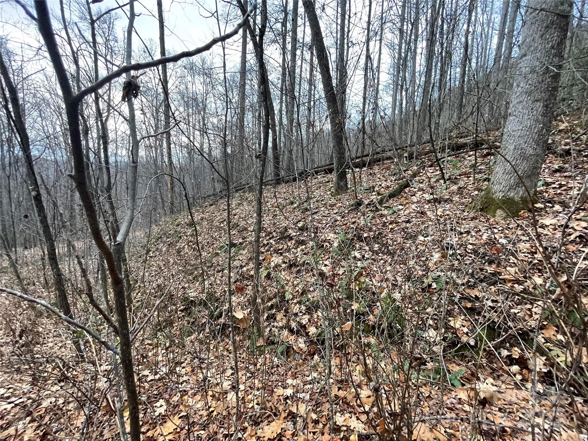 Lot at 805 Sparkling Falls Road, Whittier, photo 29 of 33