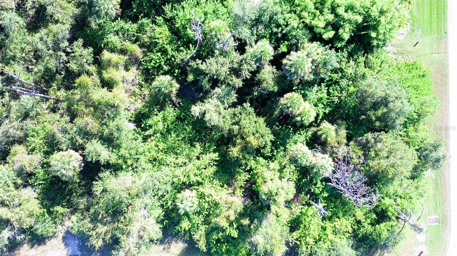 Land at 199 COUGAR WAY, ROTONDA WEST, photo 2 of 9