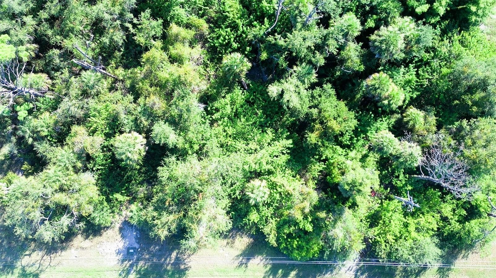 Land at 199 COUGAR WAY, ROTONDA WEST, photo 4 of 9