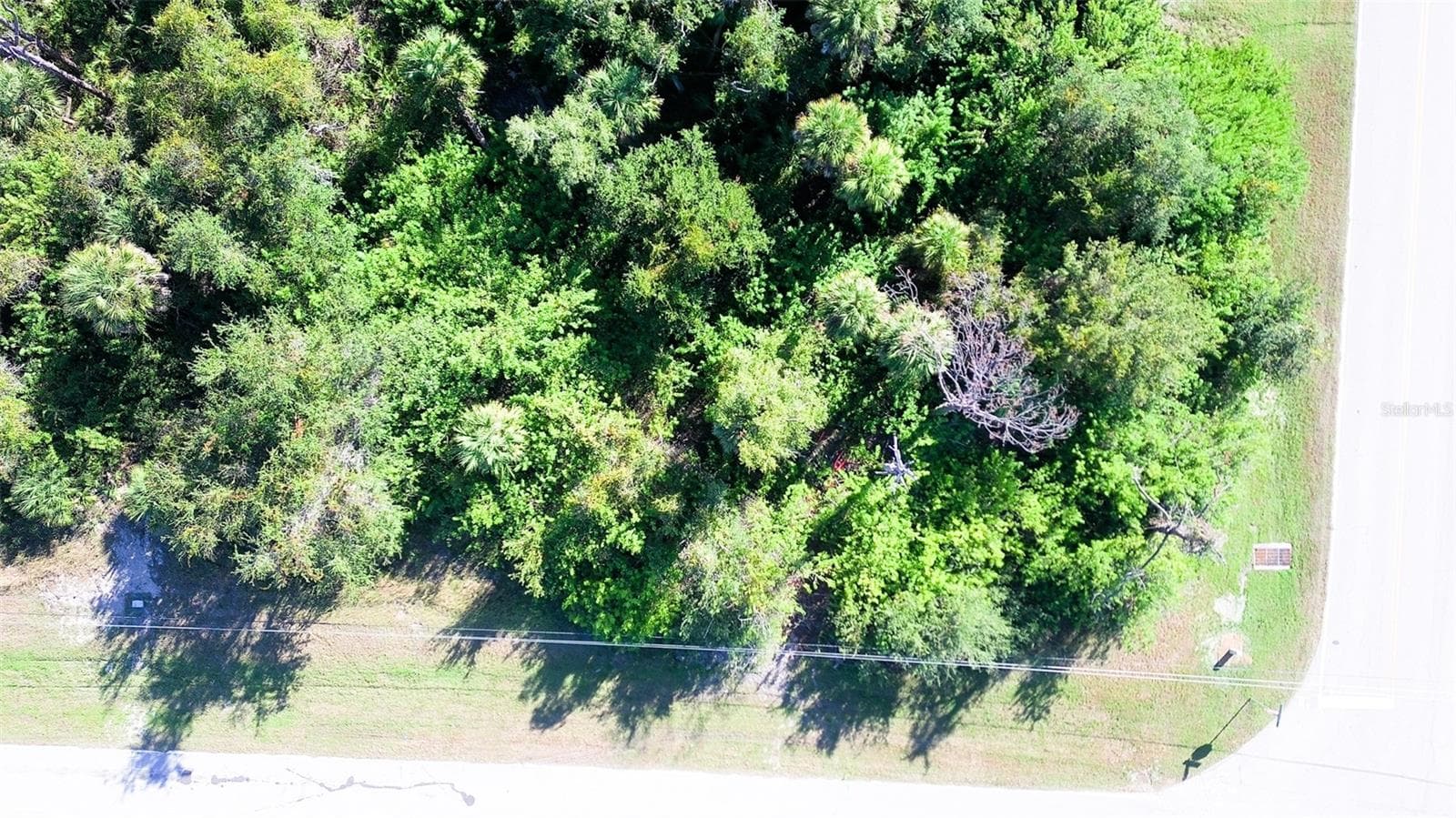 Land at 199 COUGAR WAY, ROTONDA WEST, photo 6 of 9